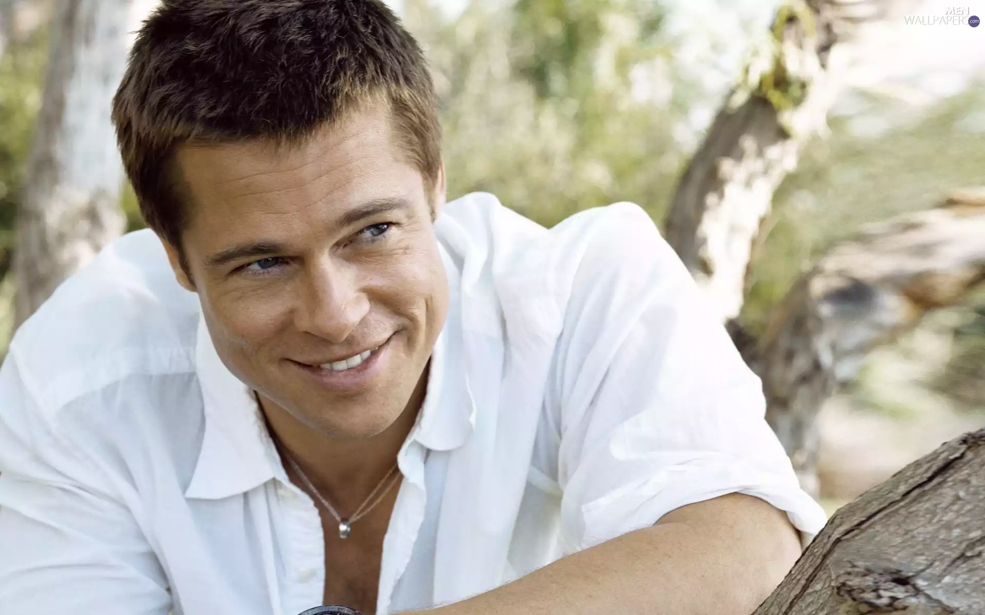actor, a man, White, face, smiling, Brad Pitt, shirt