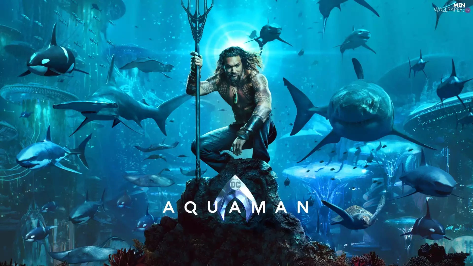 movie, actor, Jason Momoa, Aquaman