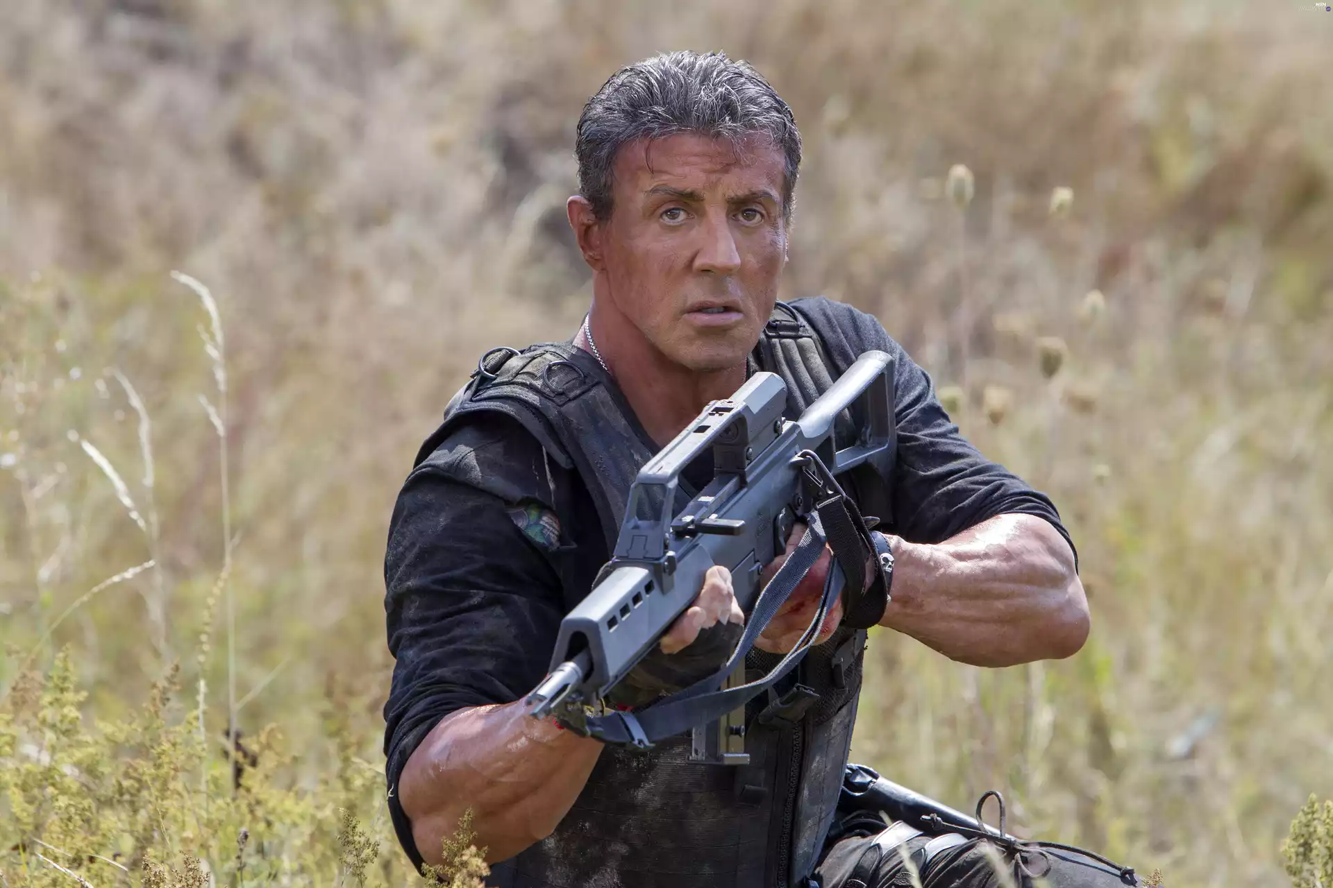 The Expendables 3, actor, Sylvester Stallone