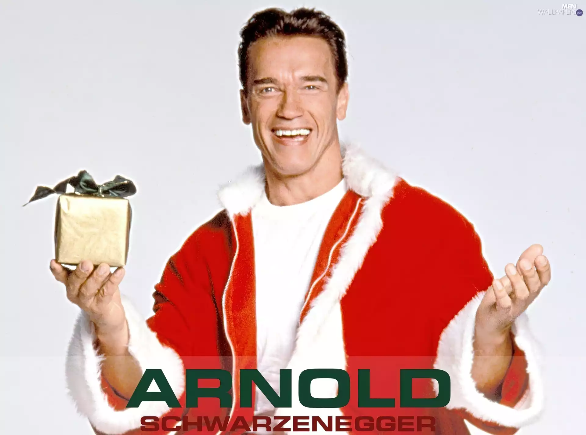 Arnold Schwarzenegger, Present