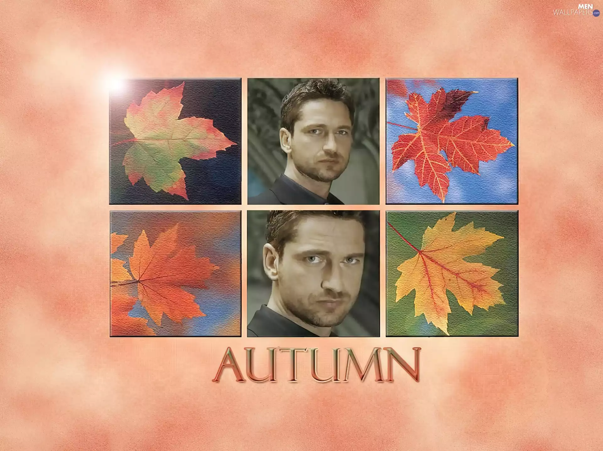 leaves, Gerard Butler, autumn