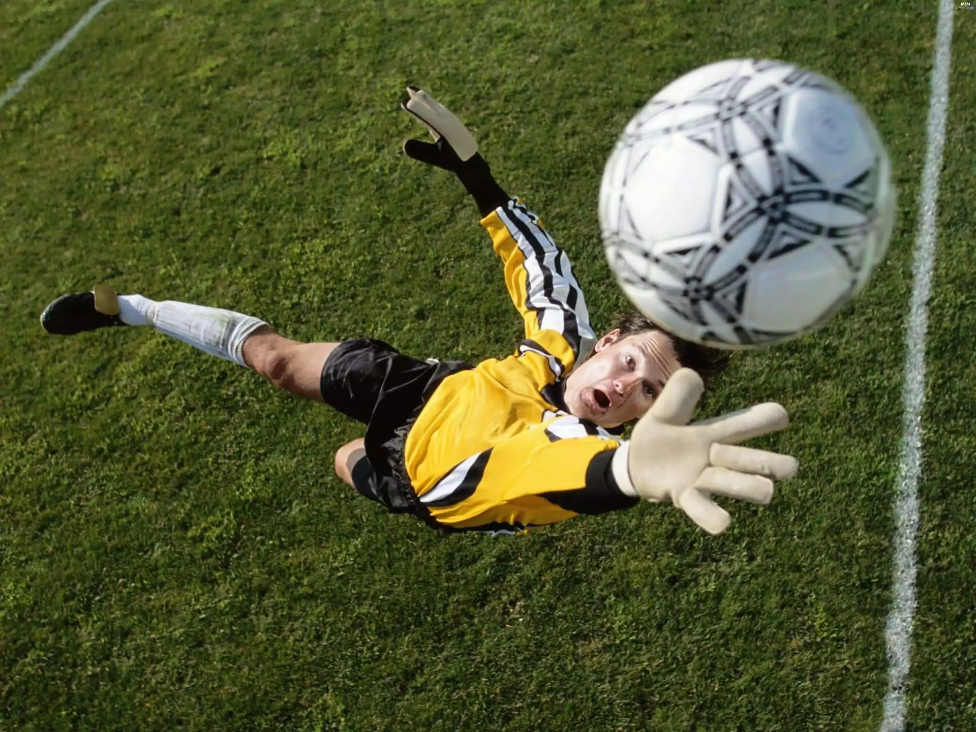 Ball, Soccer, goalkeeper