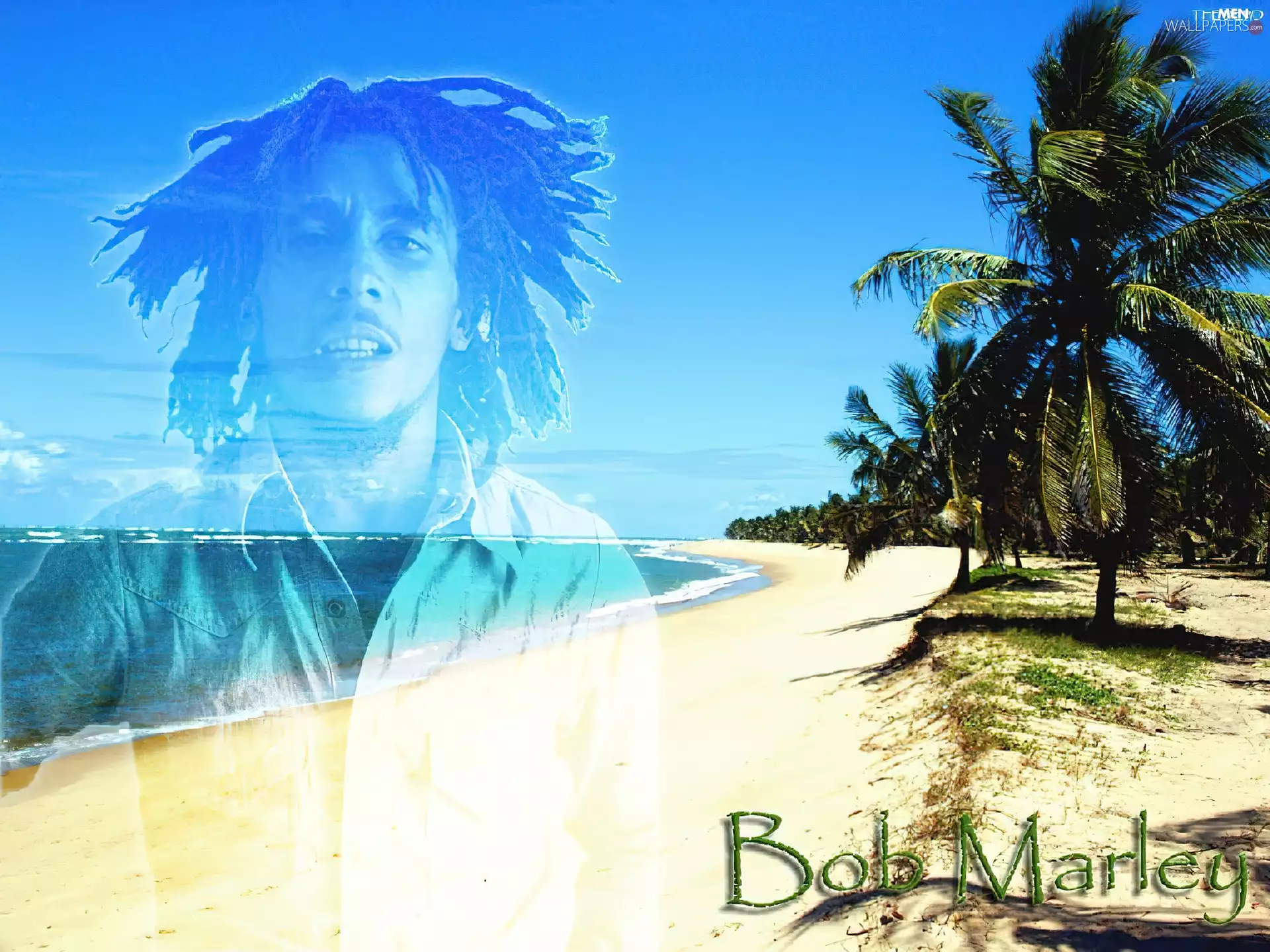 Palm, Bob Marley, Beaches