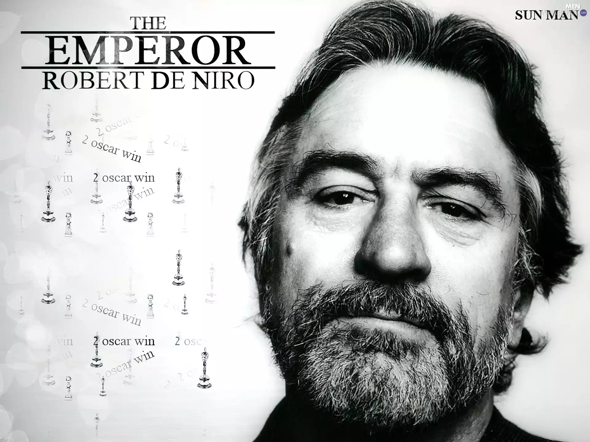 Robert De Niro, beard