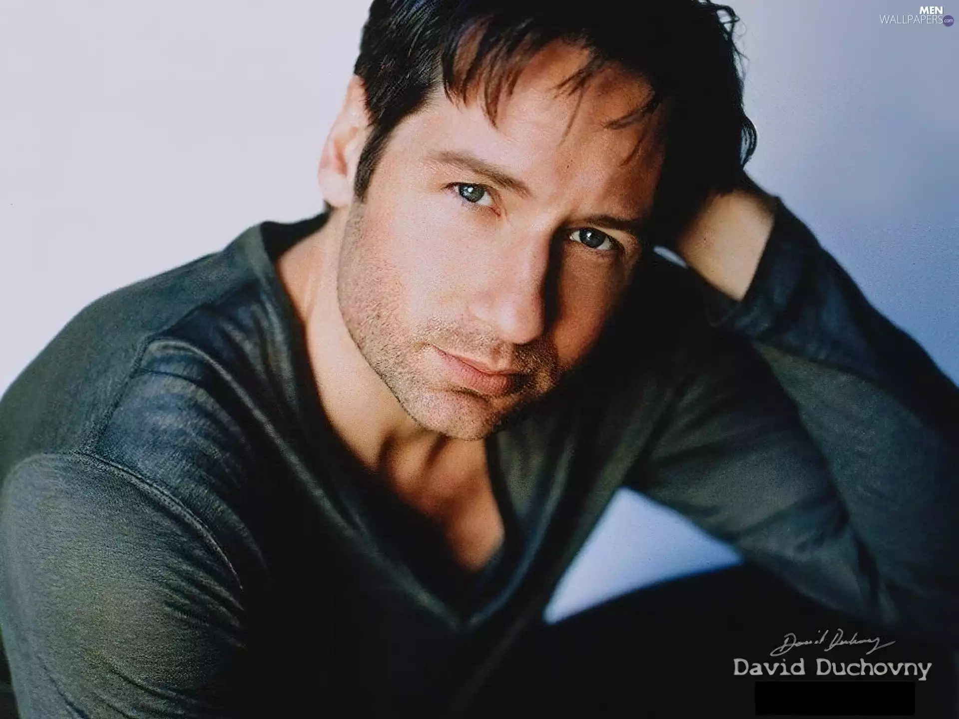 David Duchovny, dark blouse
