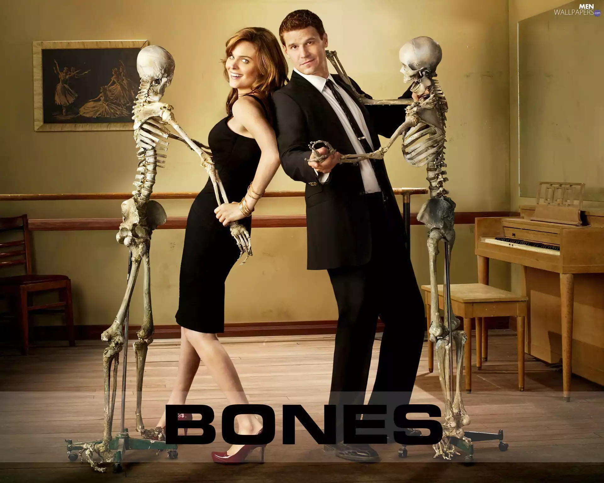 Bones, series, Emily Deschanel, skeletons, David Boreanaz, bones