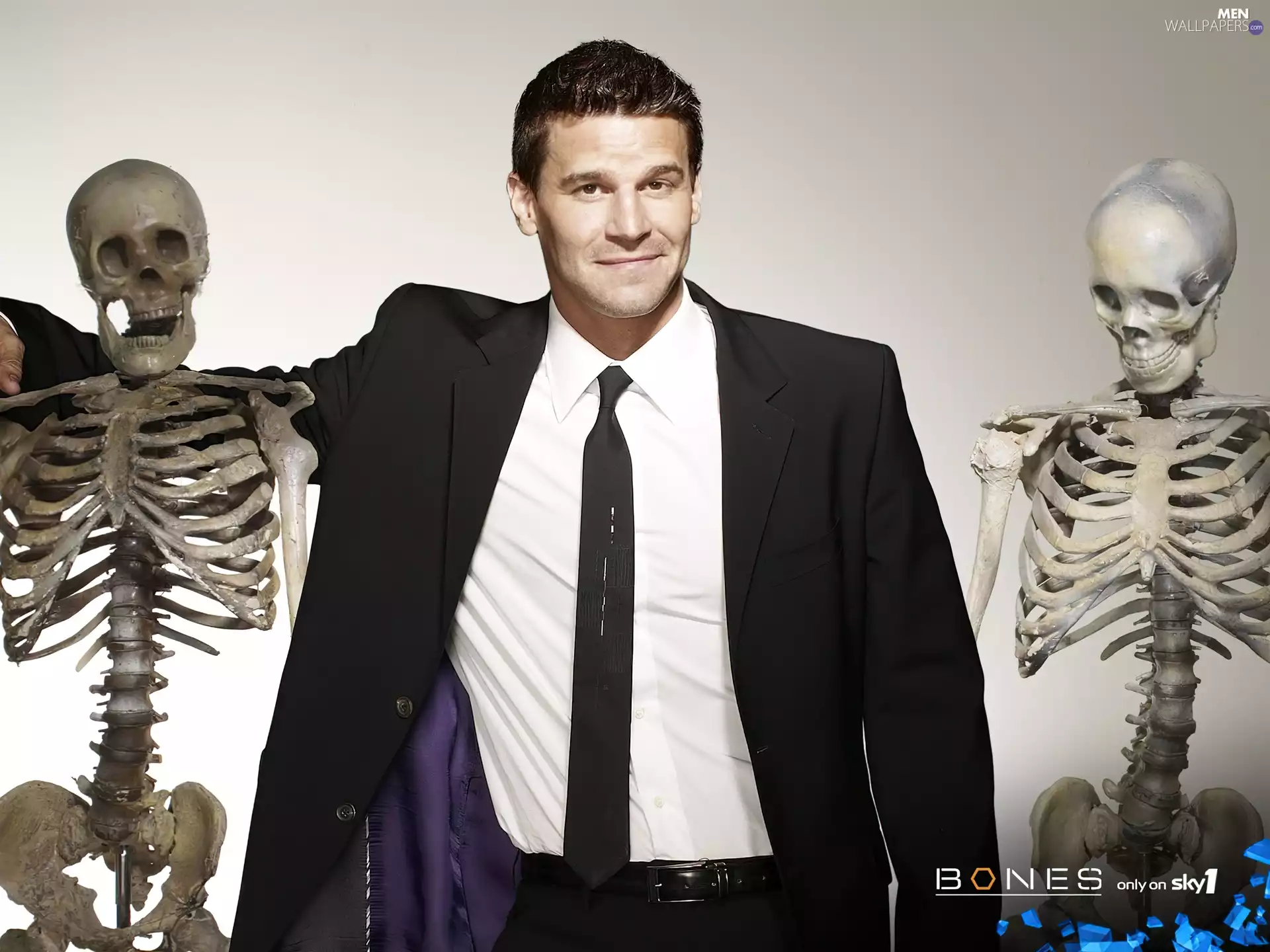 skeletons, David Boreanaz, Bones, bones, series