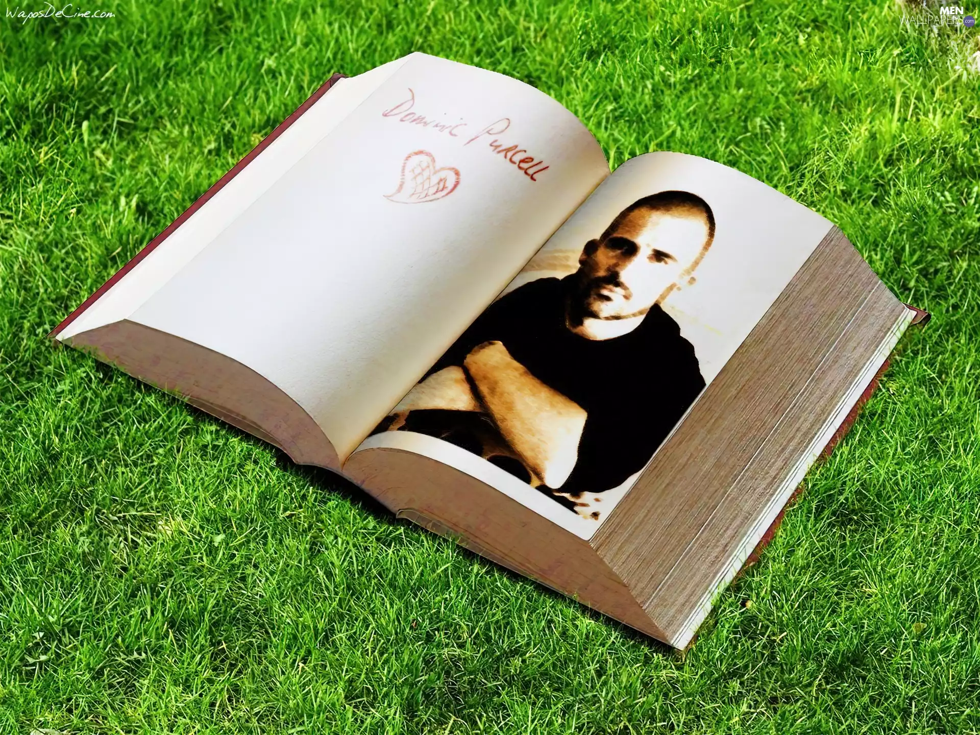 grass, Dominic Purcell, Book