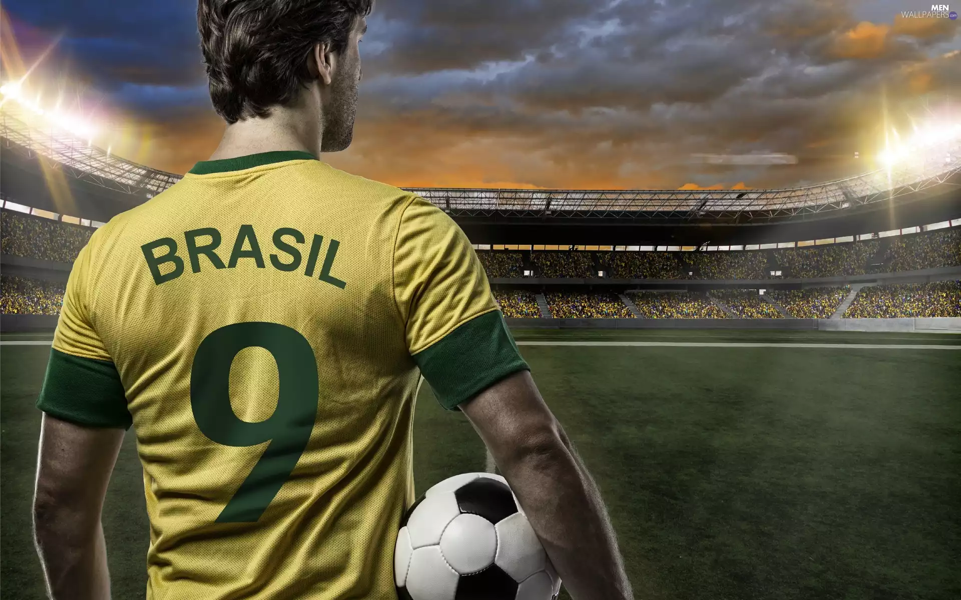 Championship, footballer, 2014, Brazil, world, Stadium