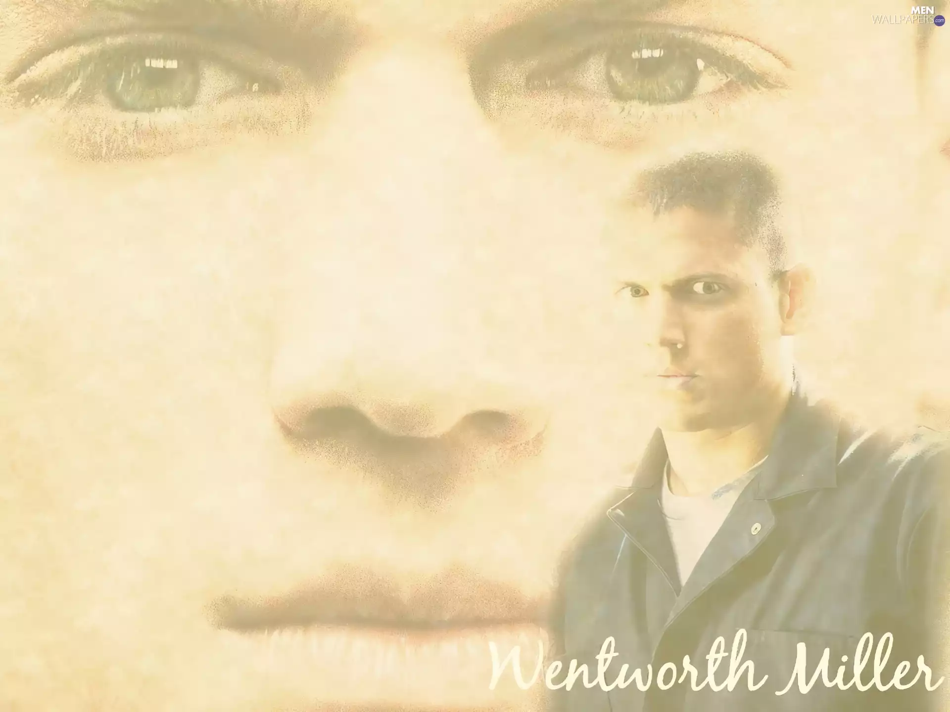 face, Eyes, Prison Break, Wentworth Miller, Prison Break