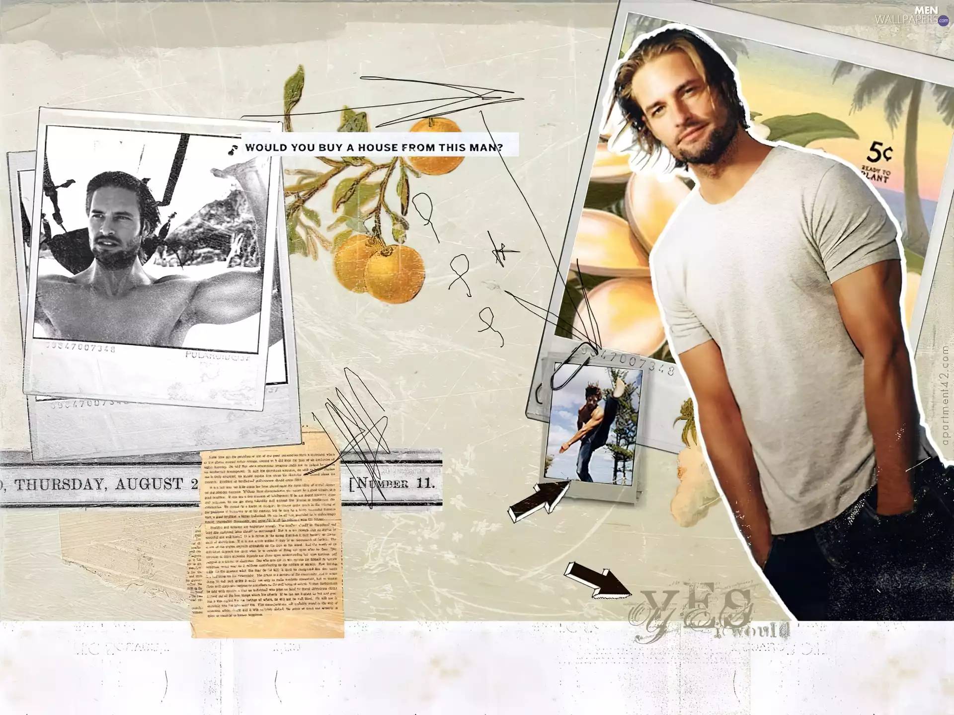 series, confused, Josh Holloway, lost