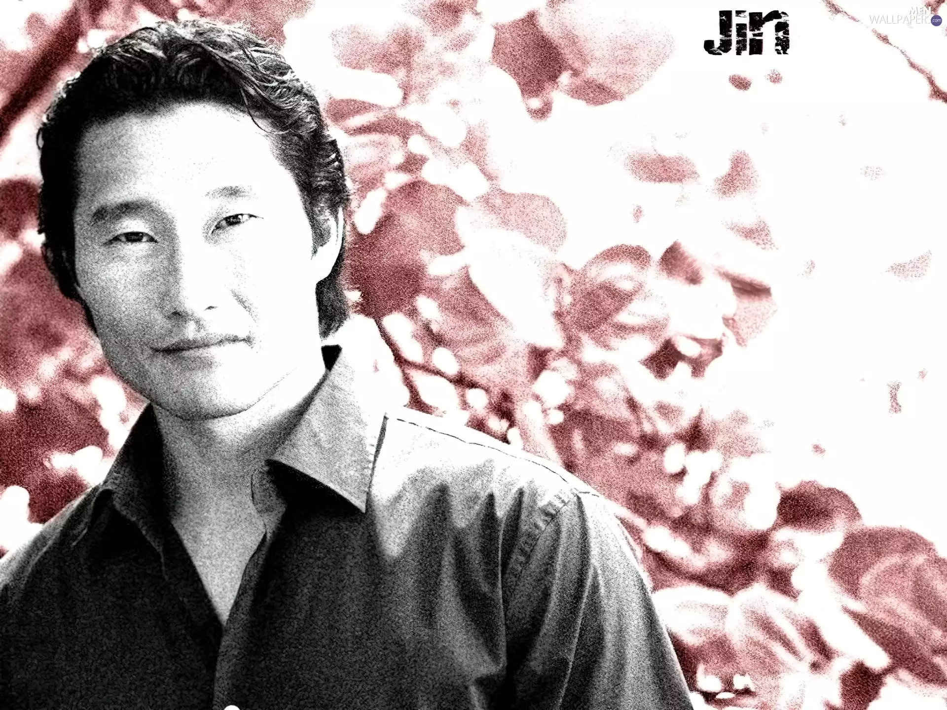 Daniel Dae Kim, series, lost