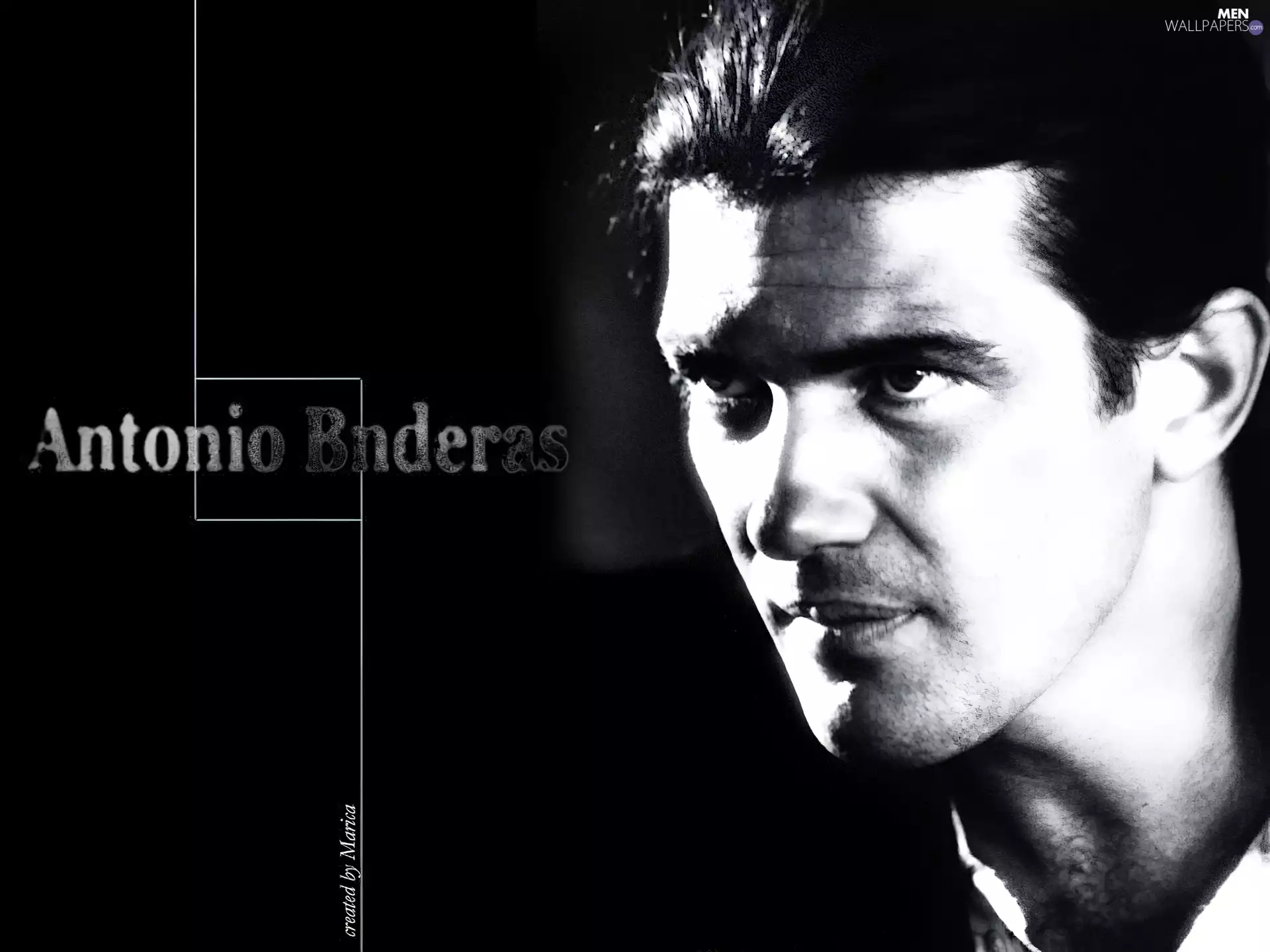 Hair, Antonio Banderas, dark