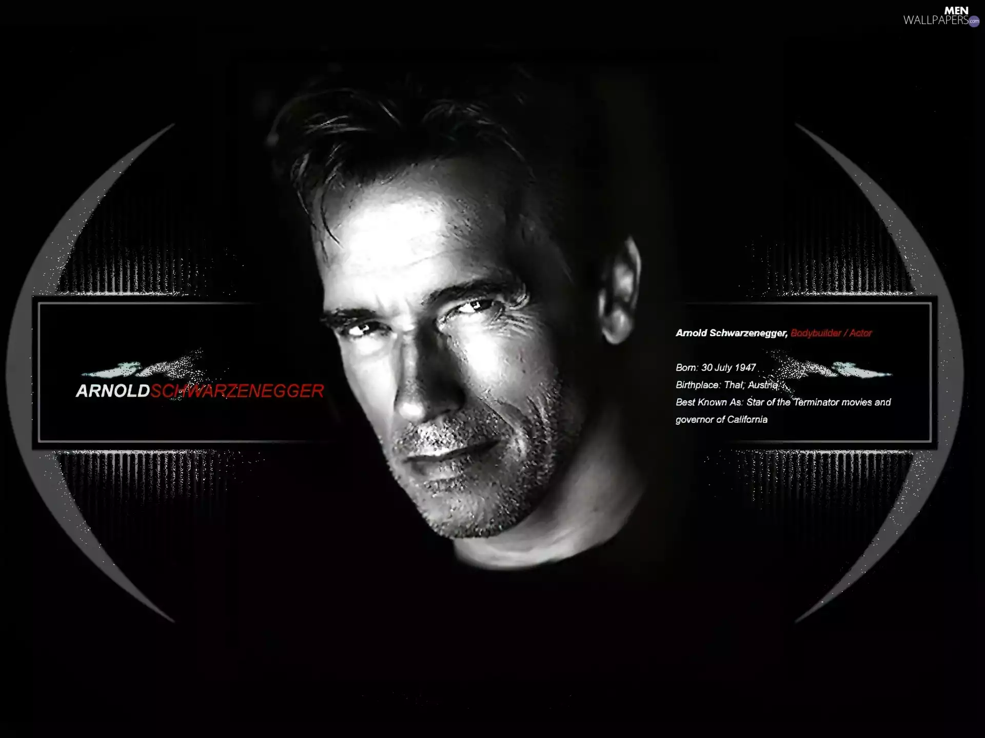 cars, Arnold Schwarzenegger, data