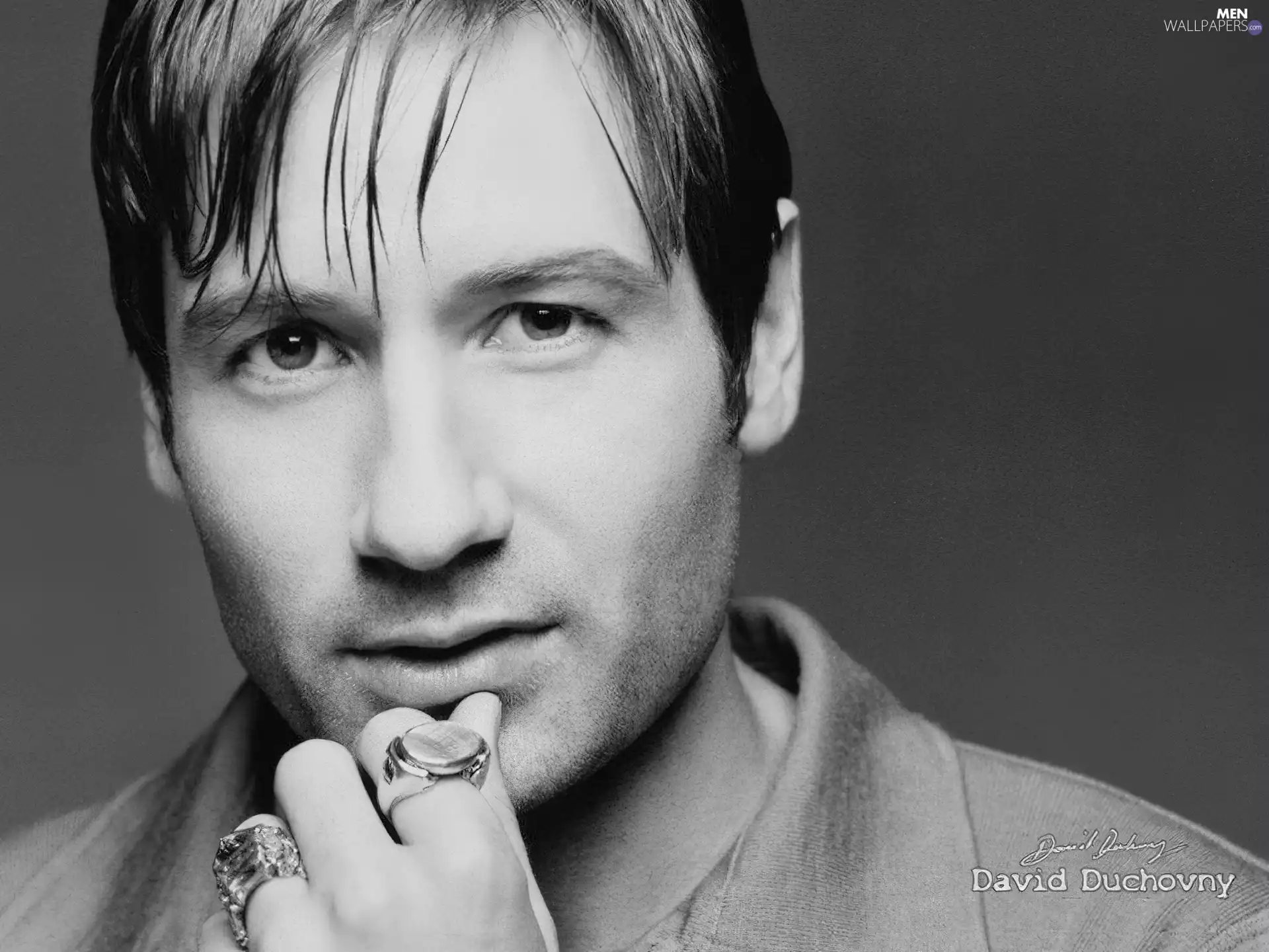 David Duchovny, signets