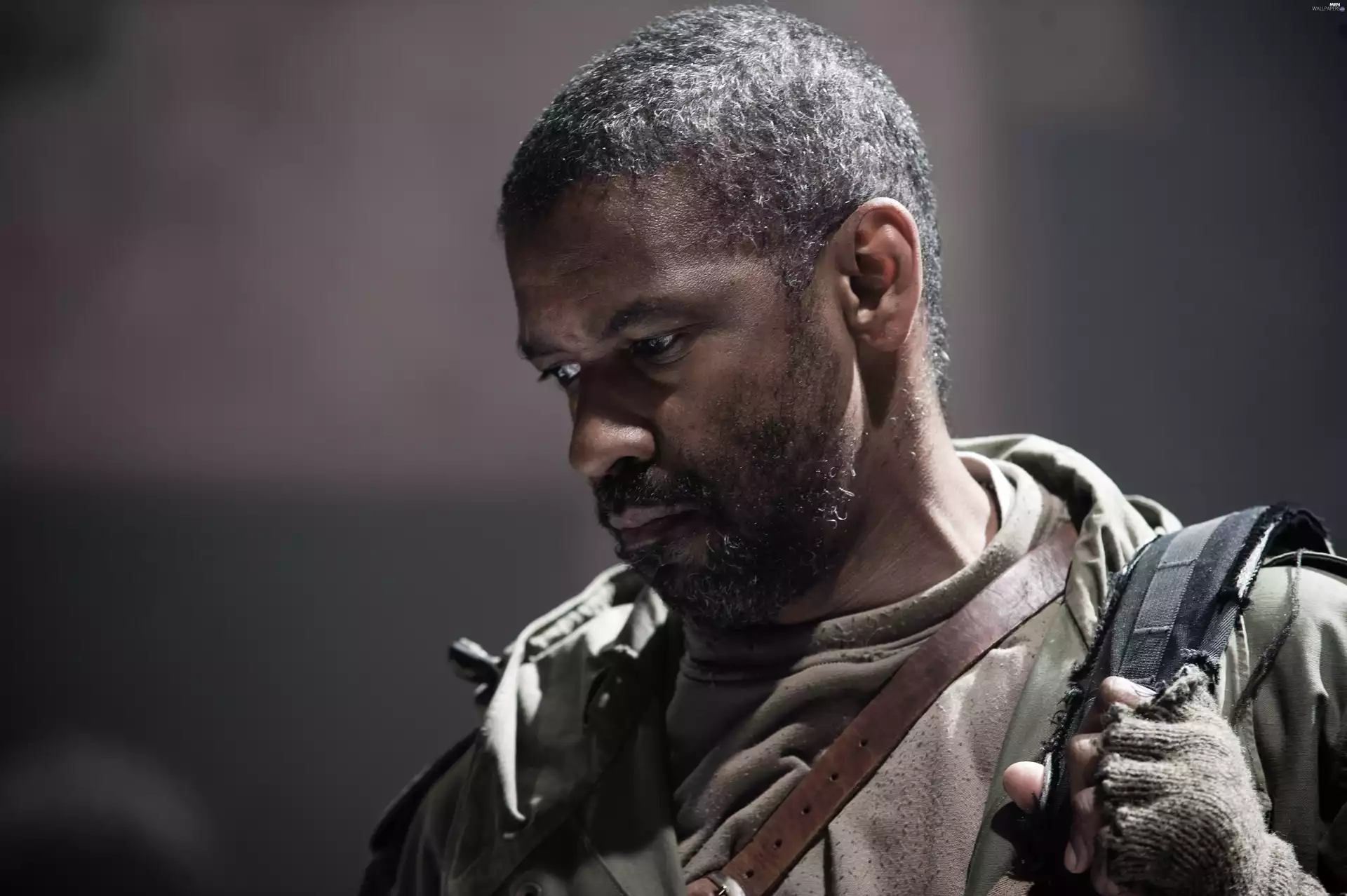 actor, Washington, hair, Denzel