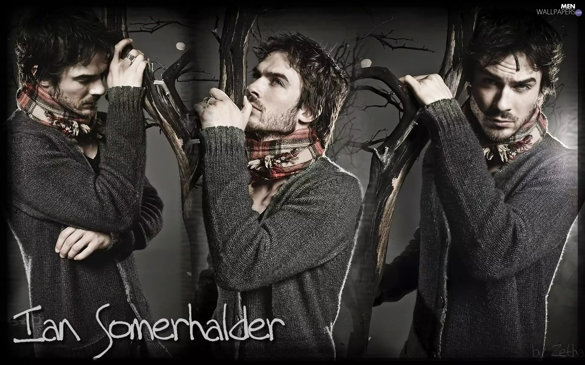 The Vampire Diaries, ian somerhalder, The Vampire Diaries