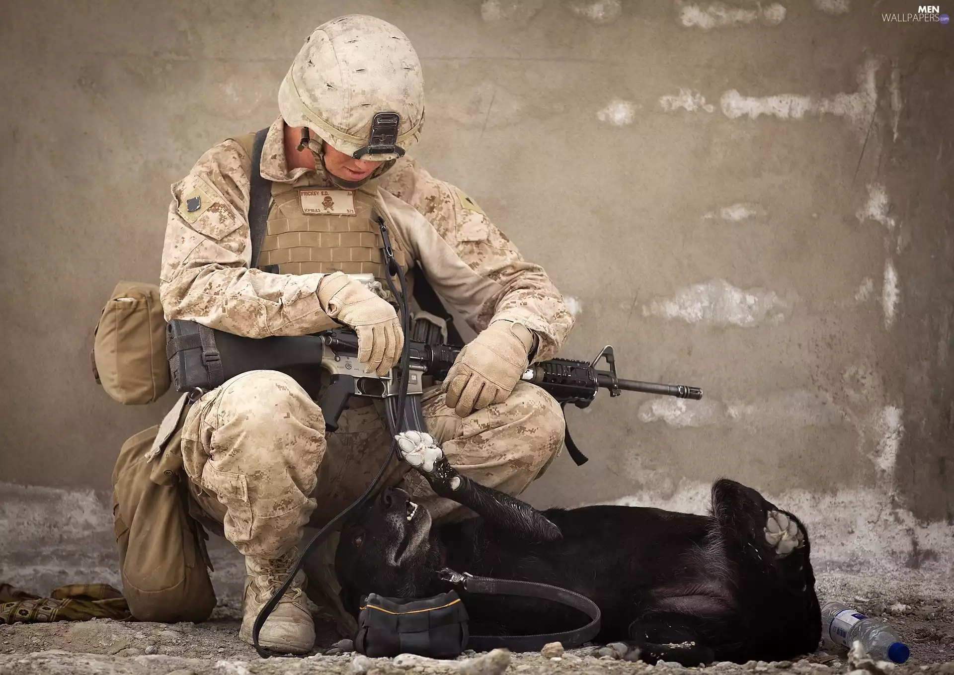 dog, soldier, Submissive