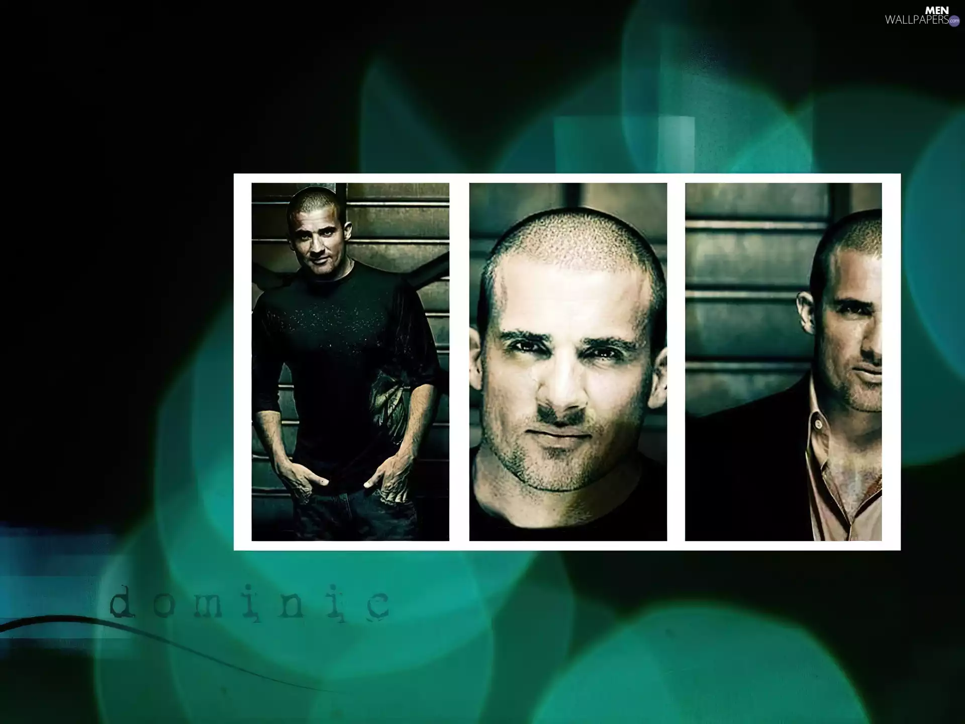 Prison Break, photos, Dominic Purcell, Prison Break