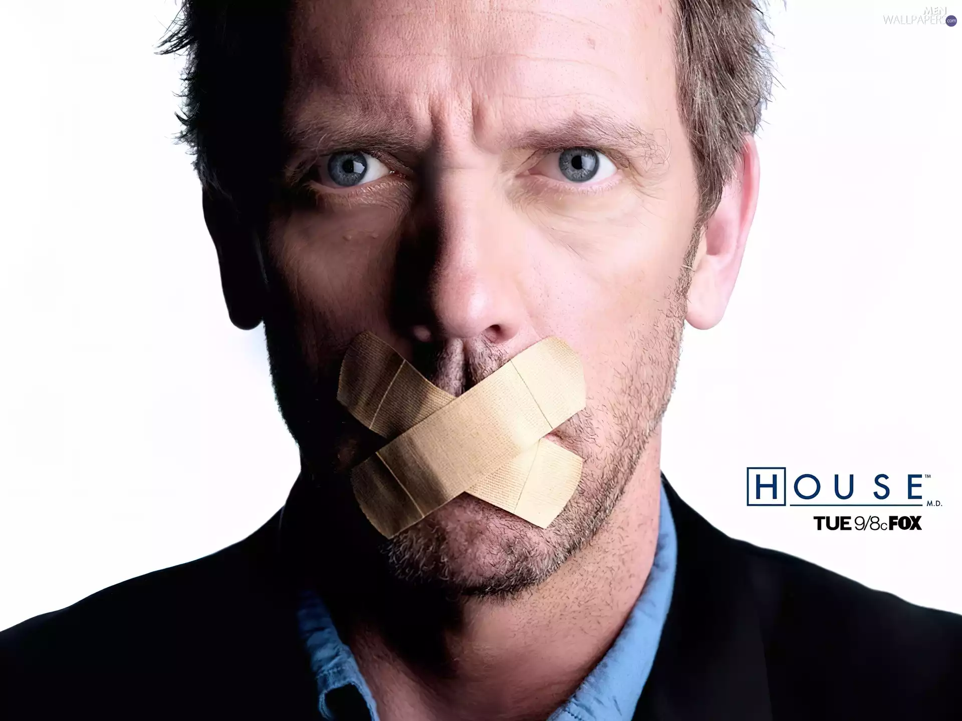 slices, Dr. House, Hugh Laurie