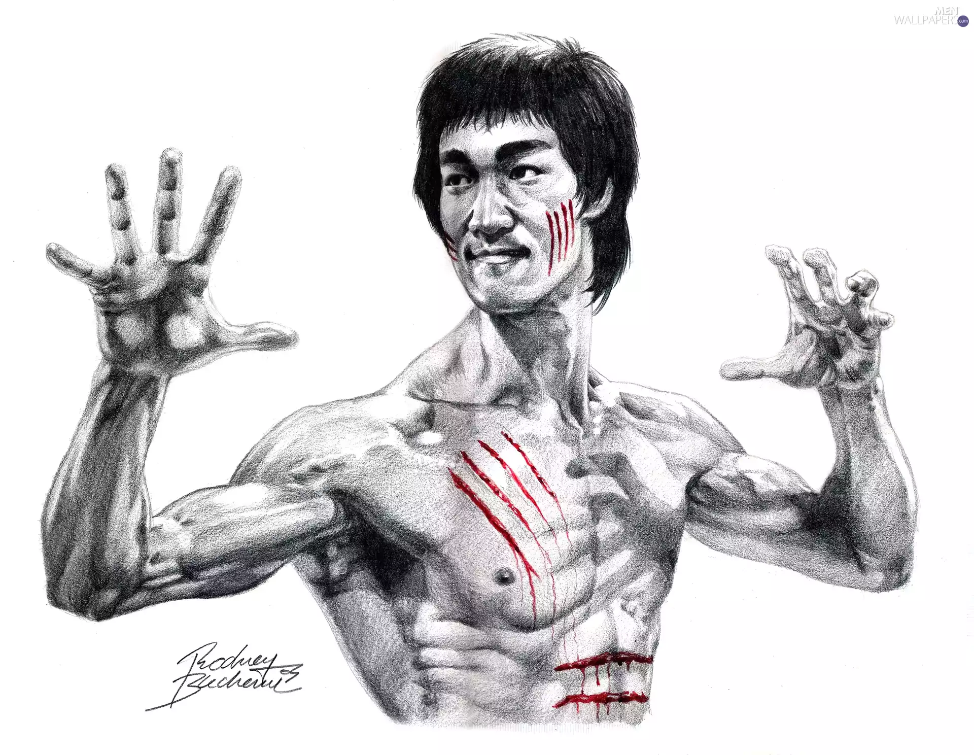 Drawing, Bruce, lee