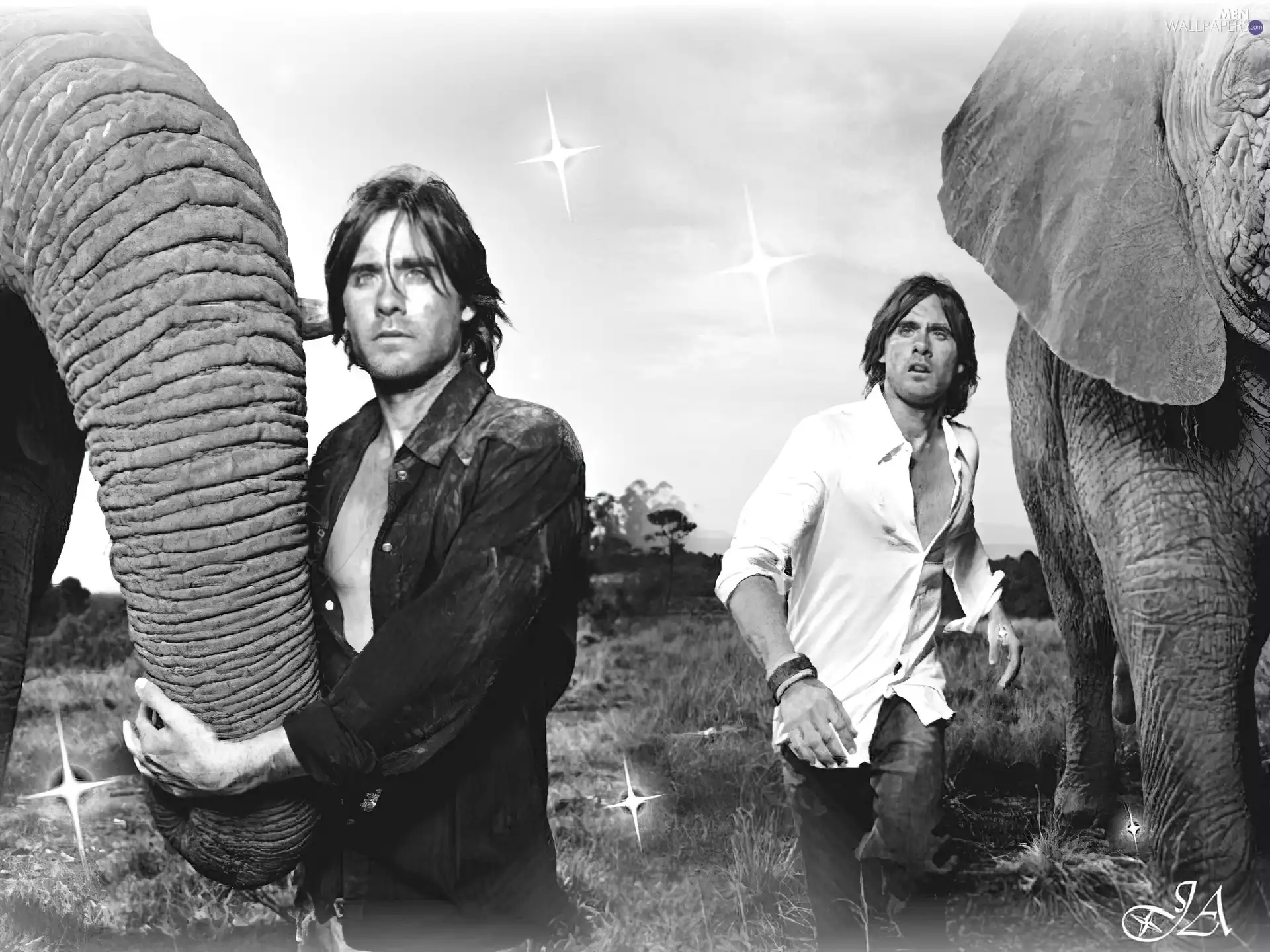 trumpet, Jared Leto, Elephant