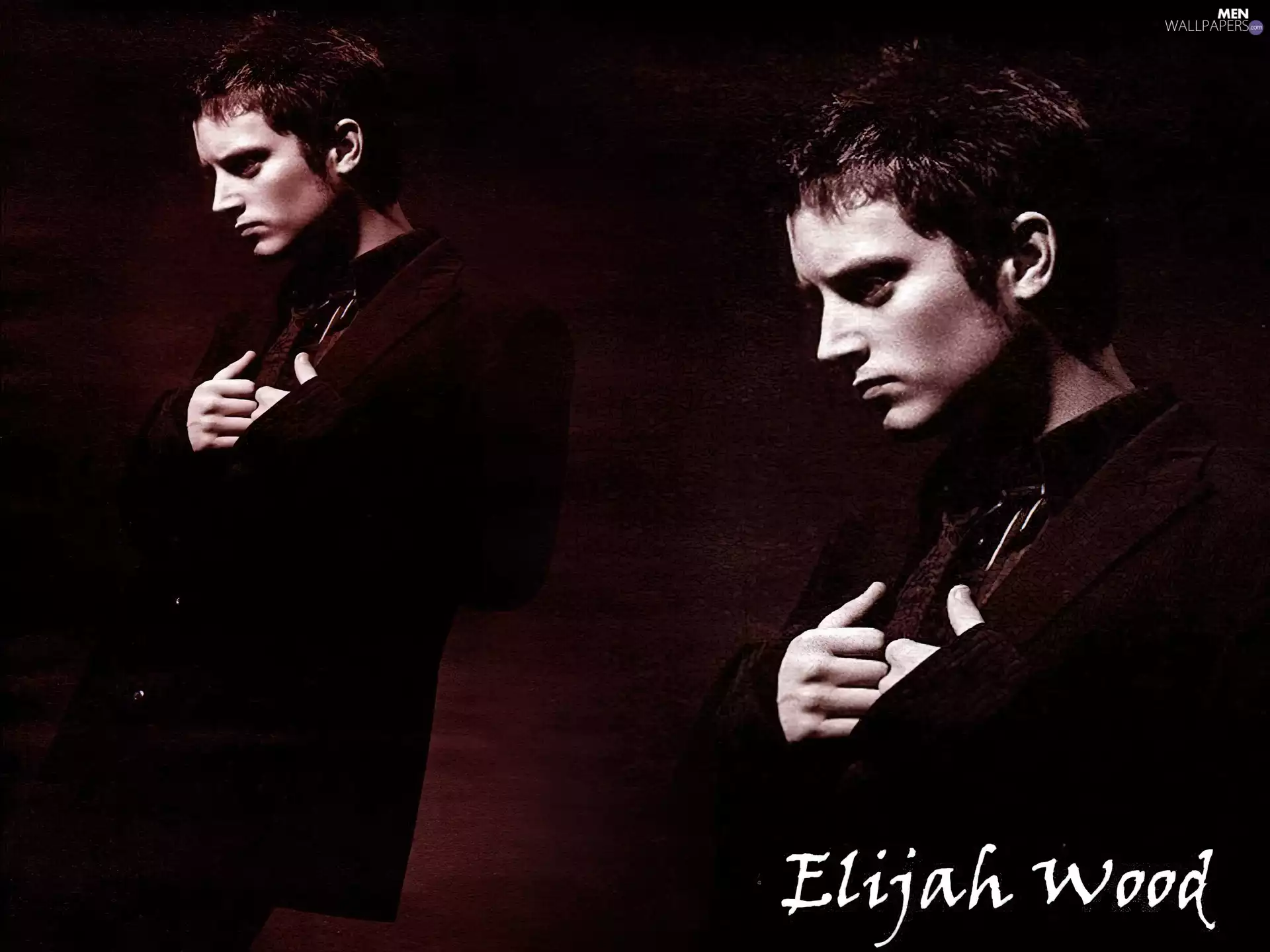Elijah Wood, face