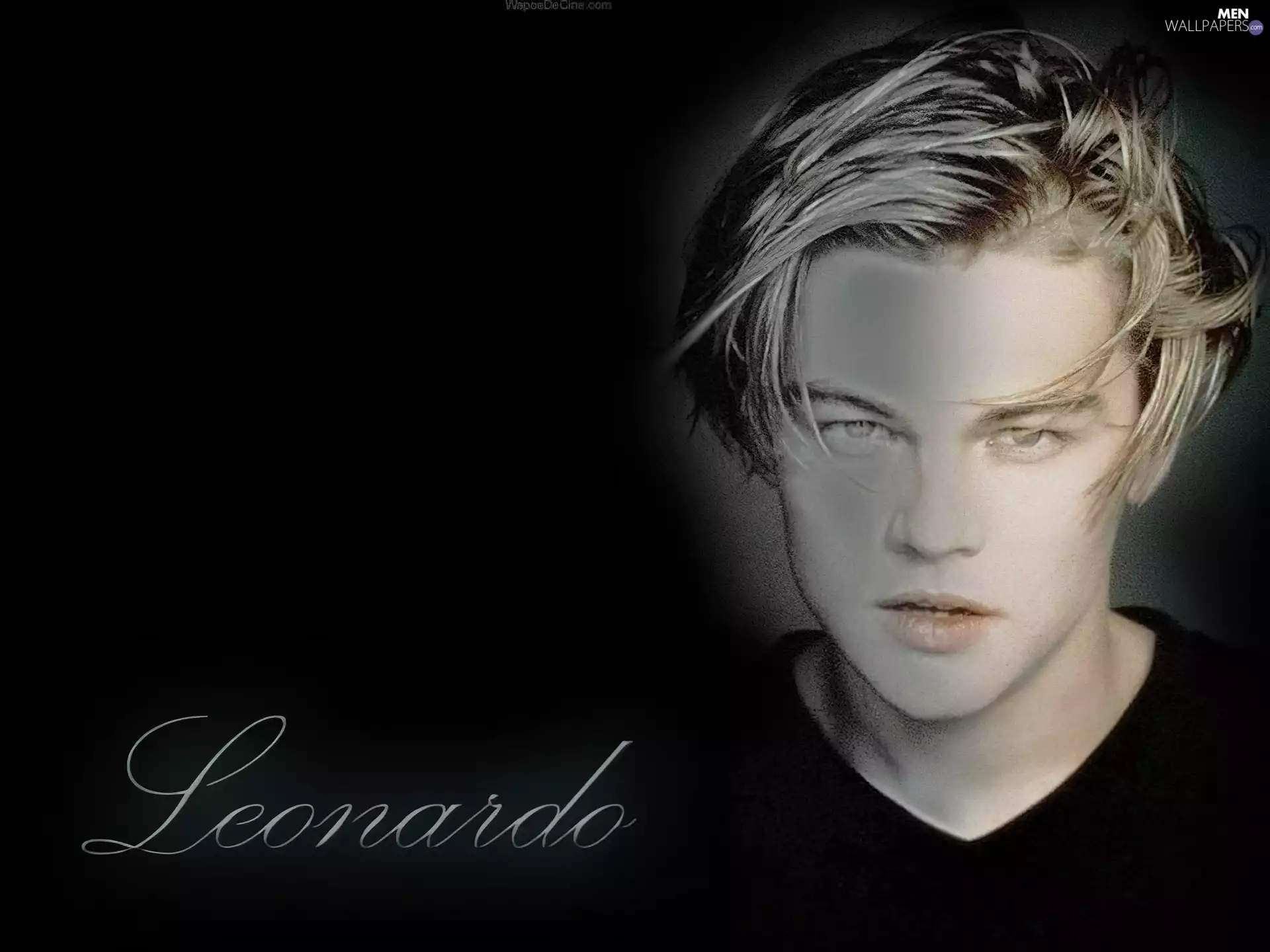 actor, Leonardo DiCaprio, excellent