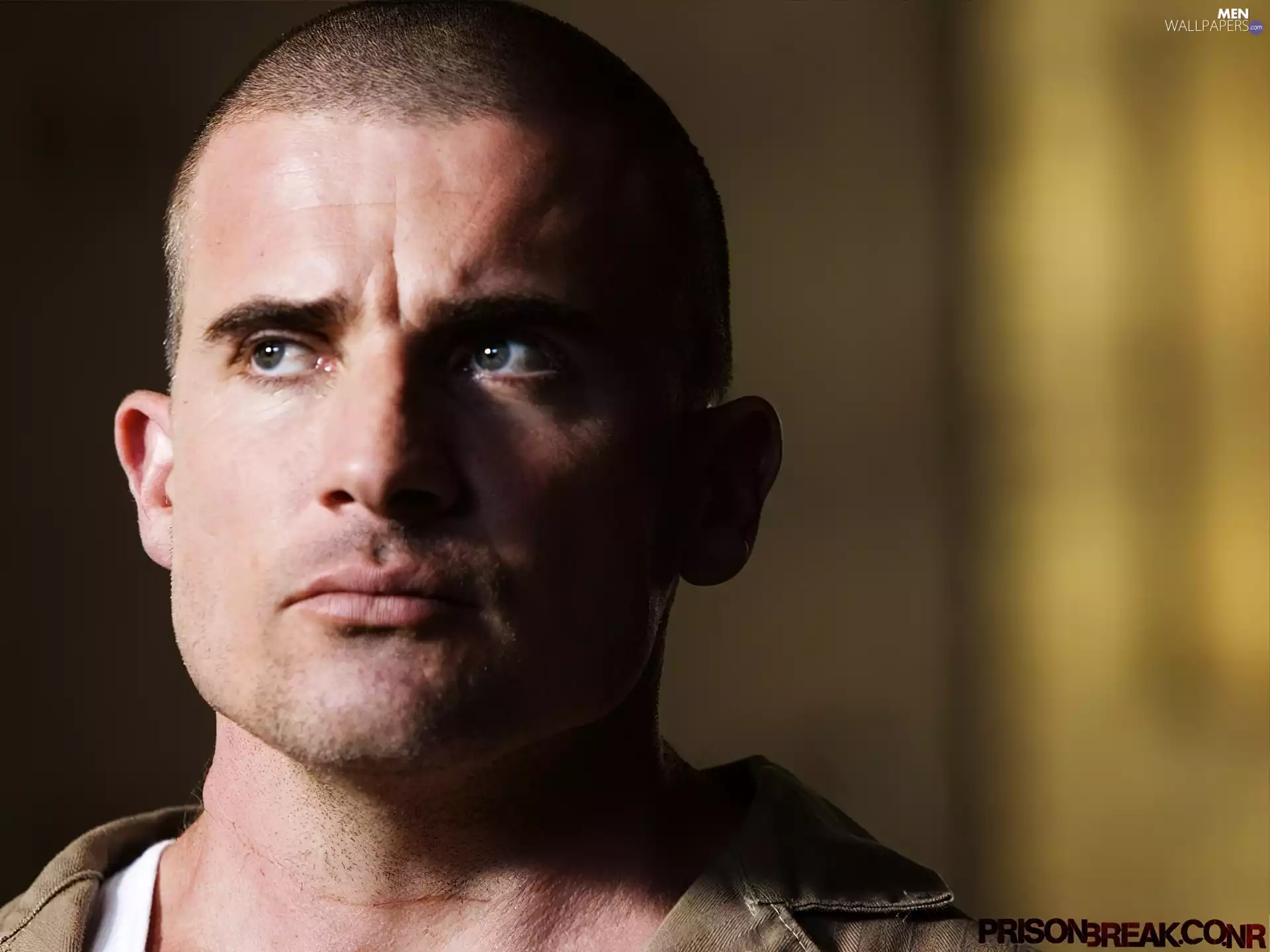 Dominic Purcell, Blue eyes