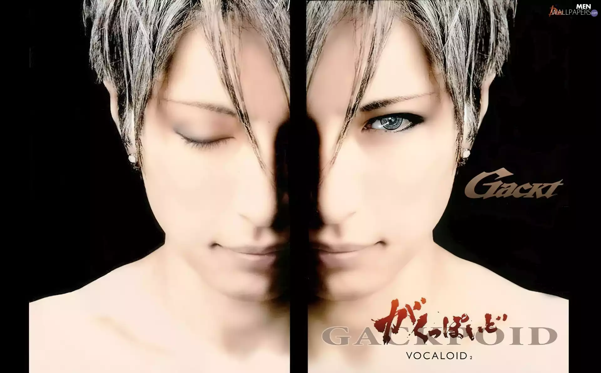 face, Gackt, Halves