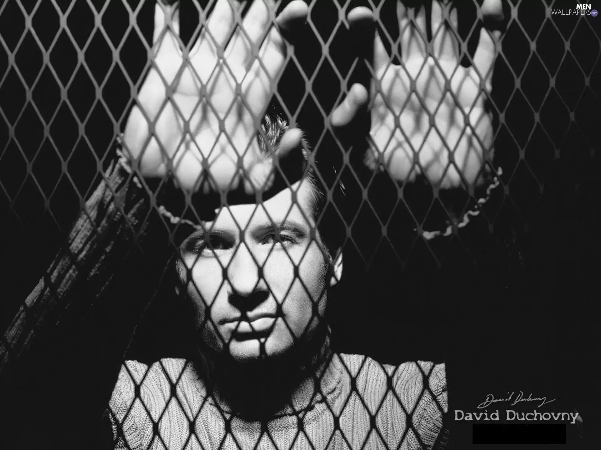 hands, David Duchovny, face