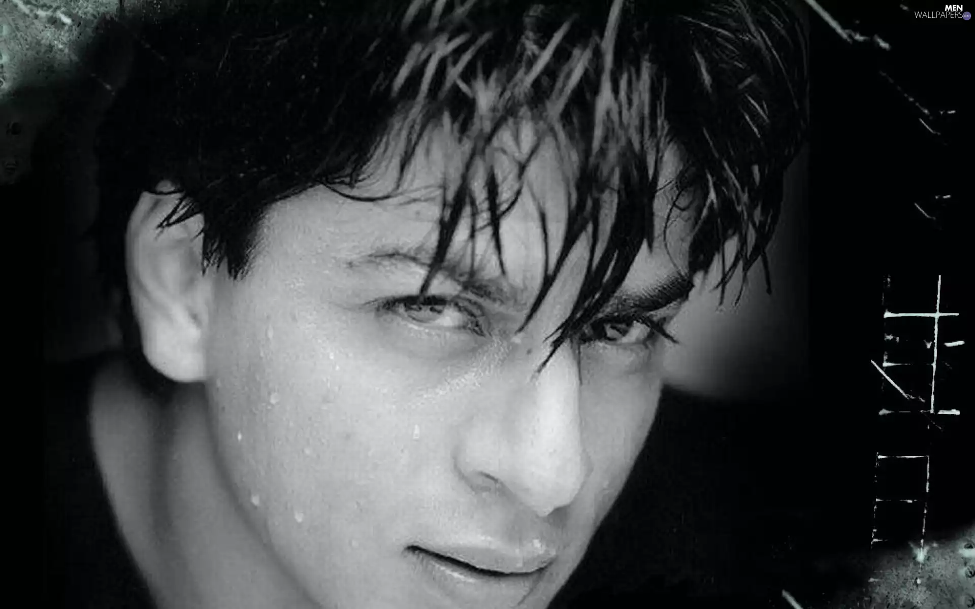 face, Shahrukh Khan