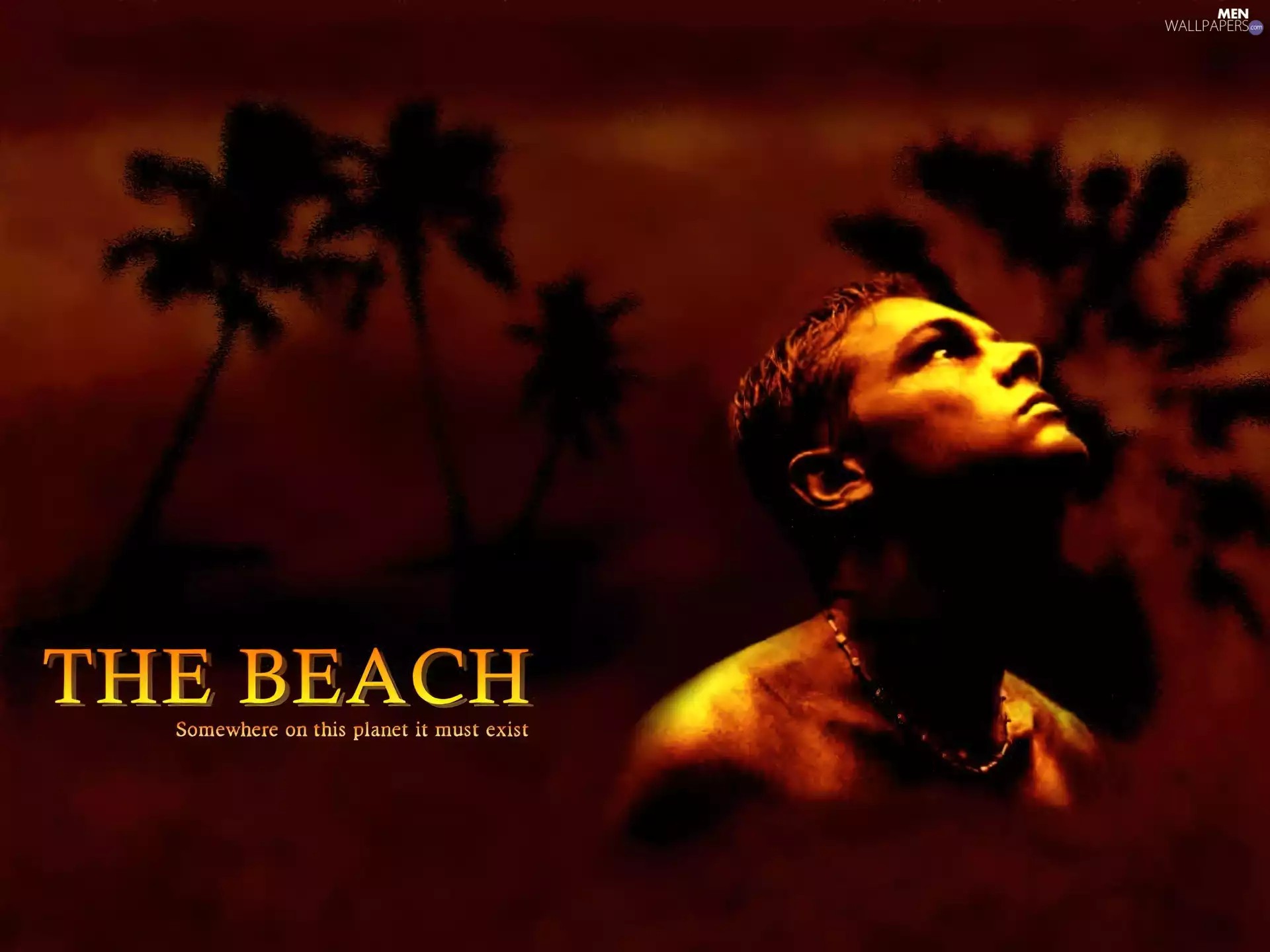 Palms, Leonardo DiCaprio, face