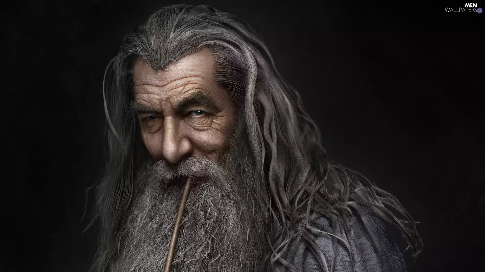 Gandalf the Grey, Ian McKellen, portrait, Hobbit, face, magician