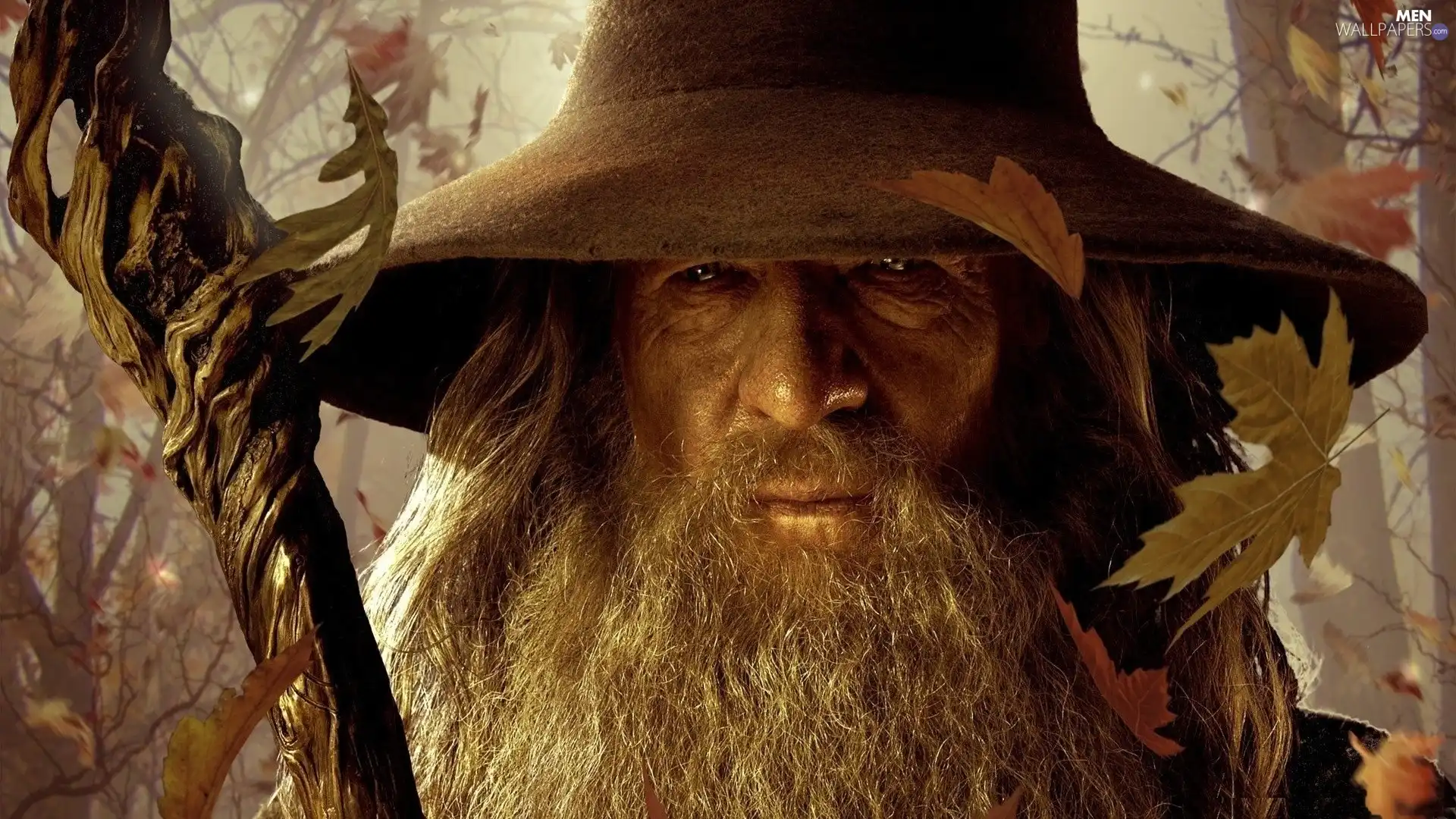 Leaf, Ian McKellen, Gandalf