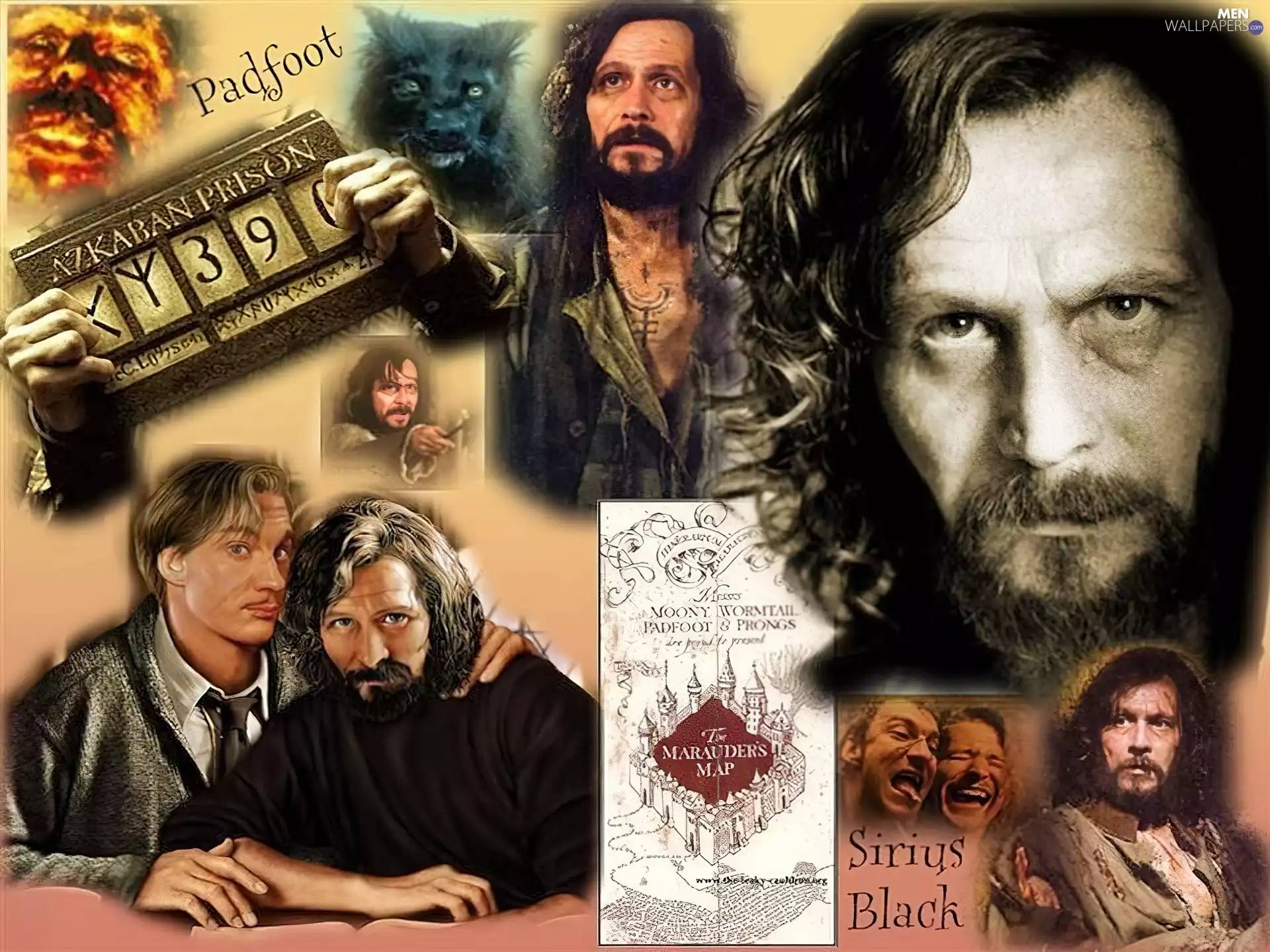 beard, Gary Oldman, long hair