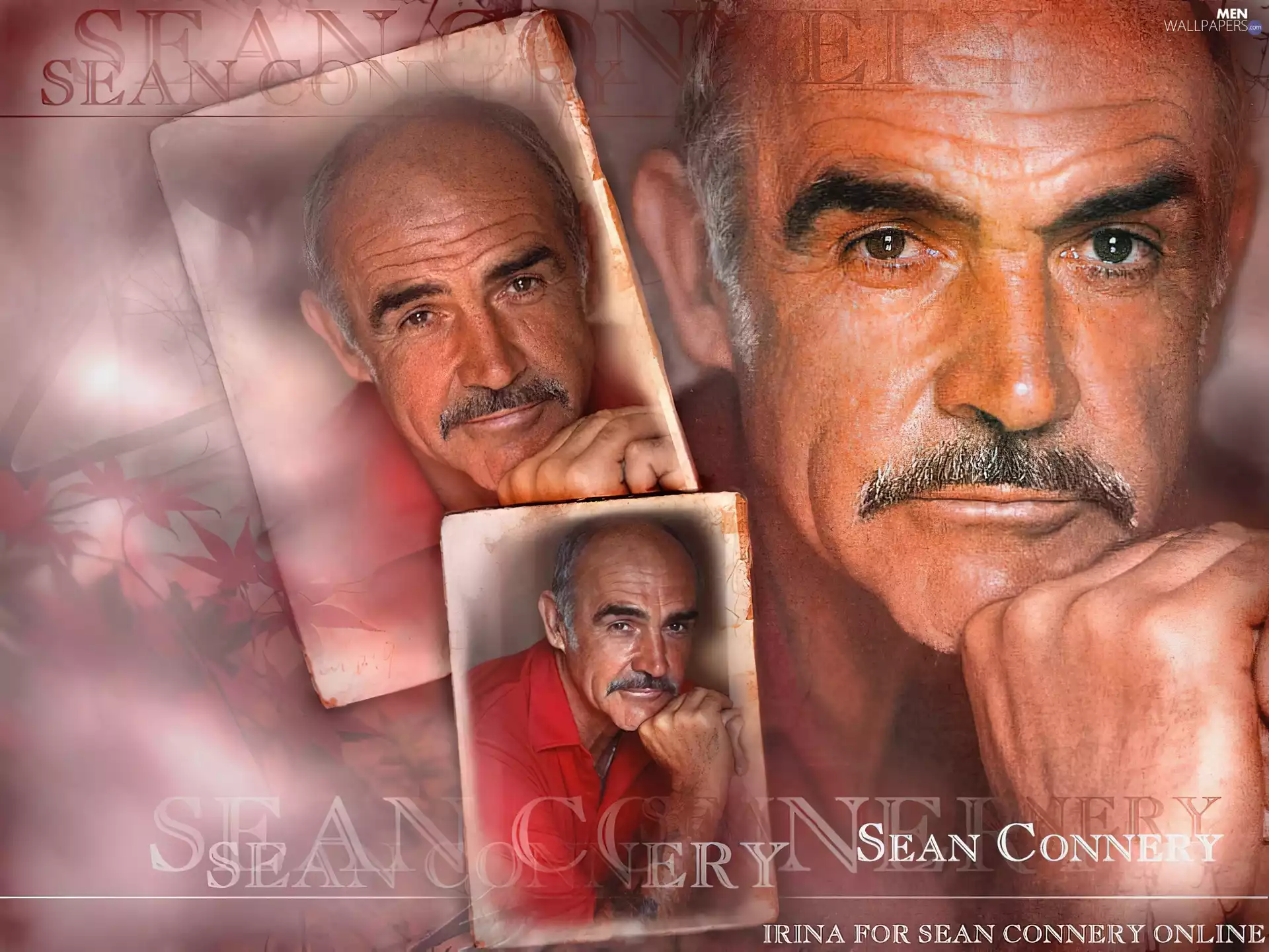 Sean Connery, gray hair