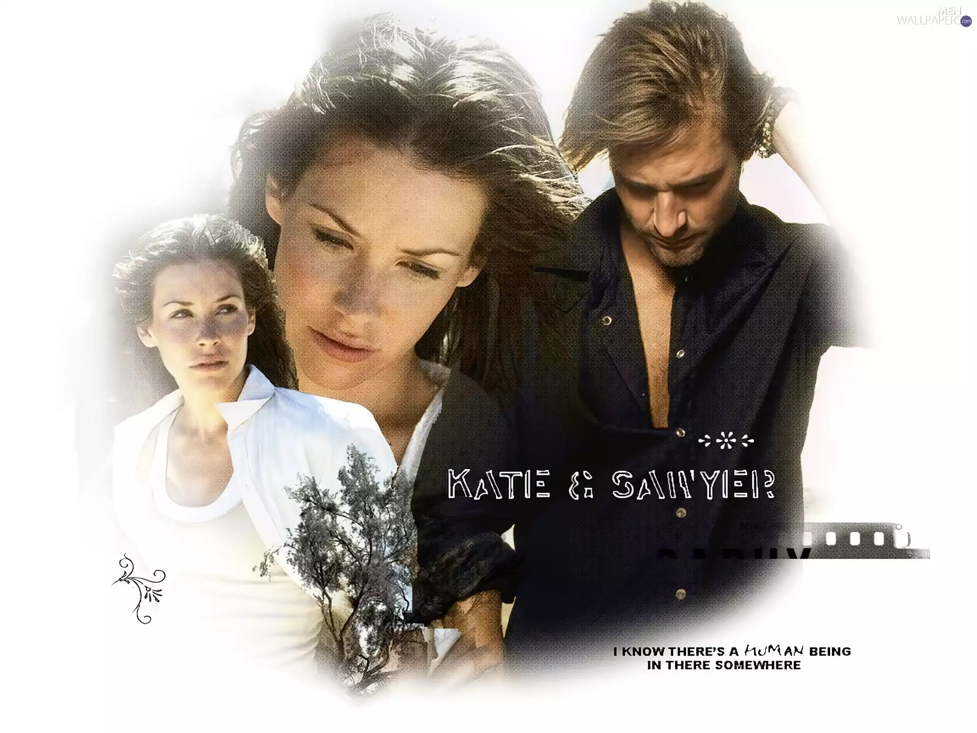 Evangeline Lilly, Josh Holloway, lost, confused, series