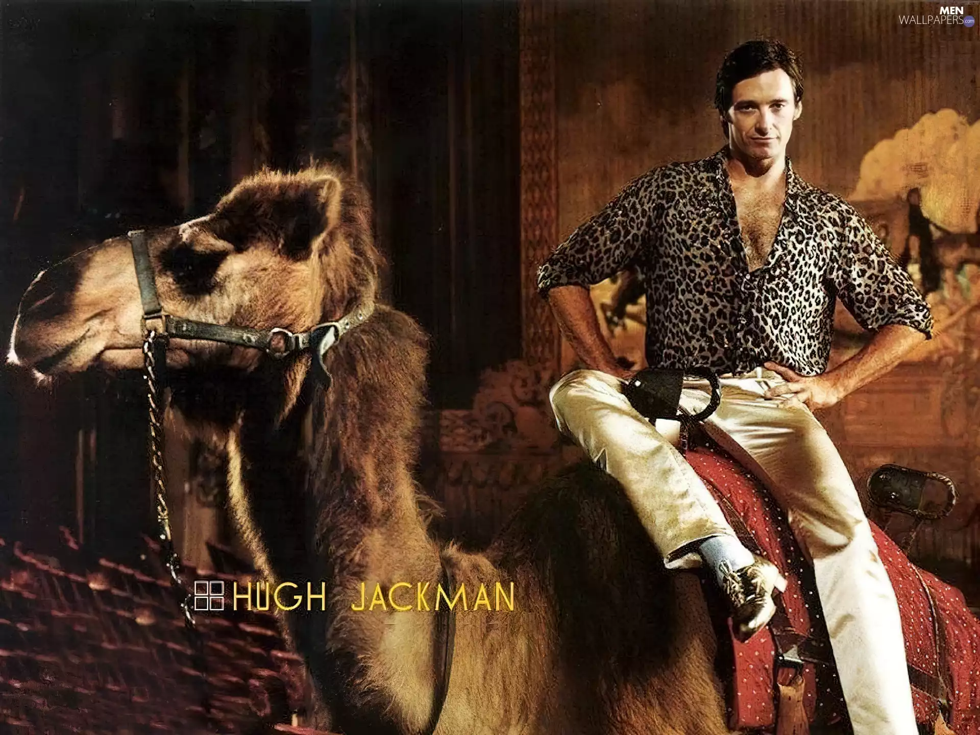 Hugh Jackman, Camel