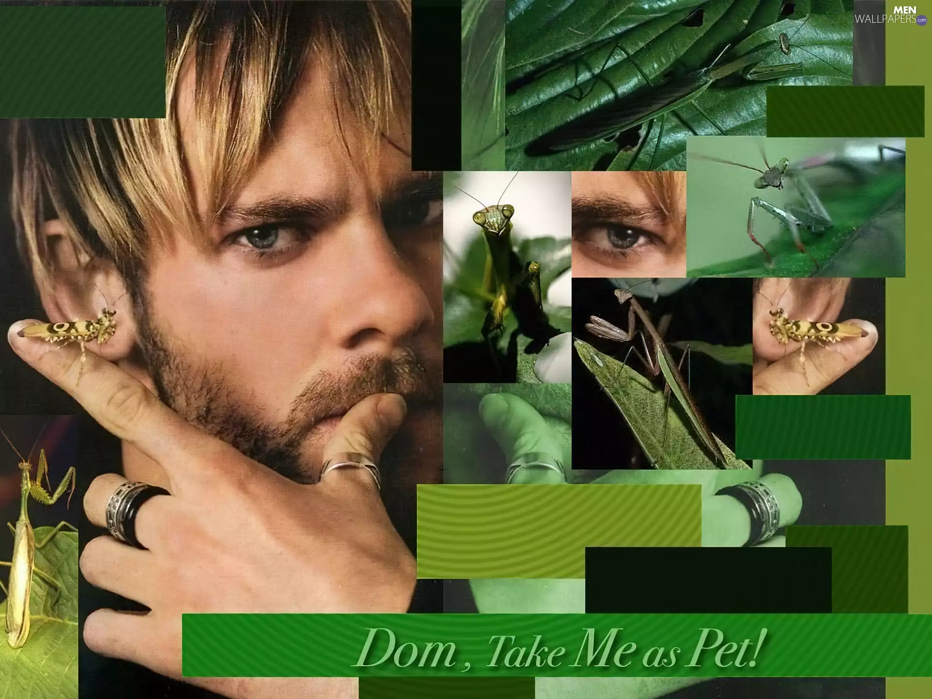 eye, Dominic Monaghan, insects