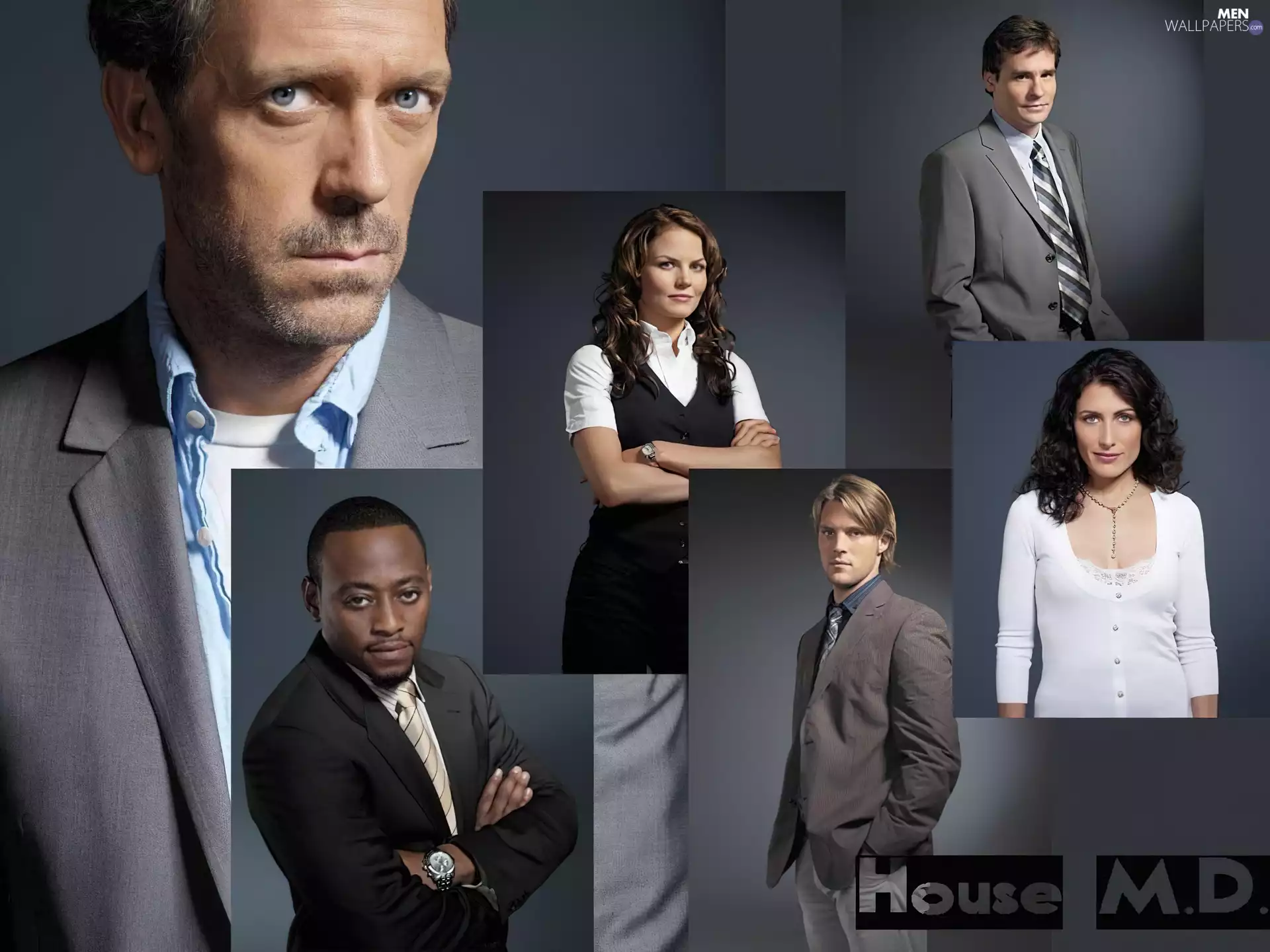 Hugh Laurie, Dr. House, Actors