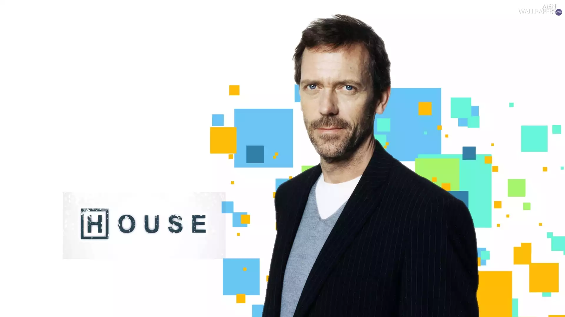 Hugh Laurie, Dr House, series