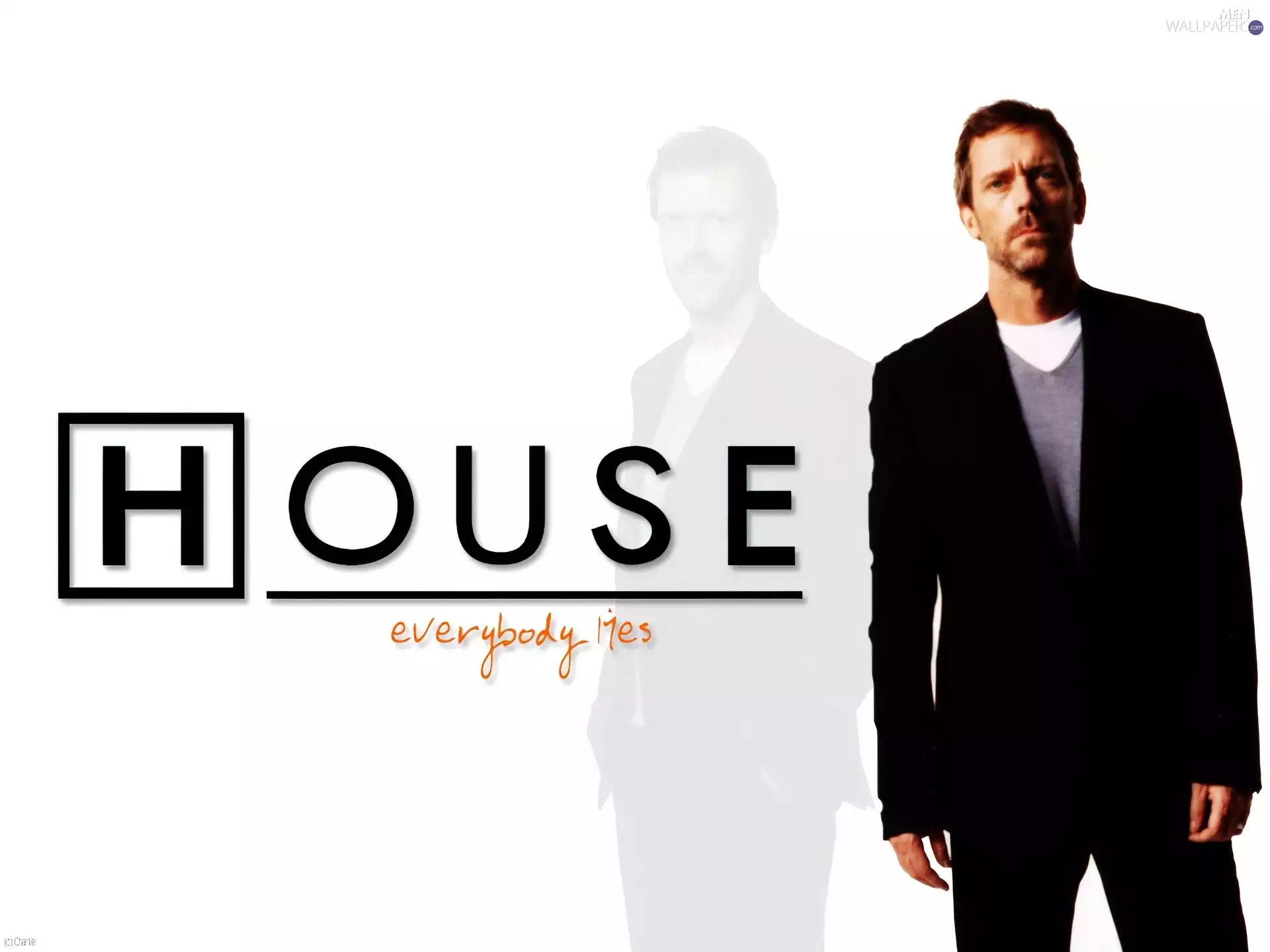 Hugh Laurie, Dr. House, suite