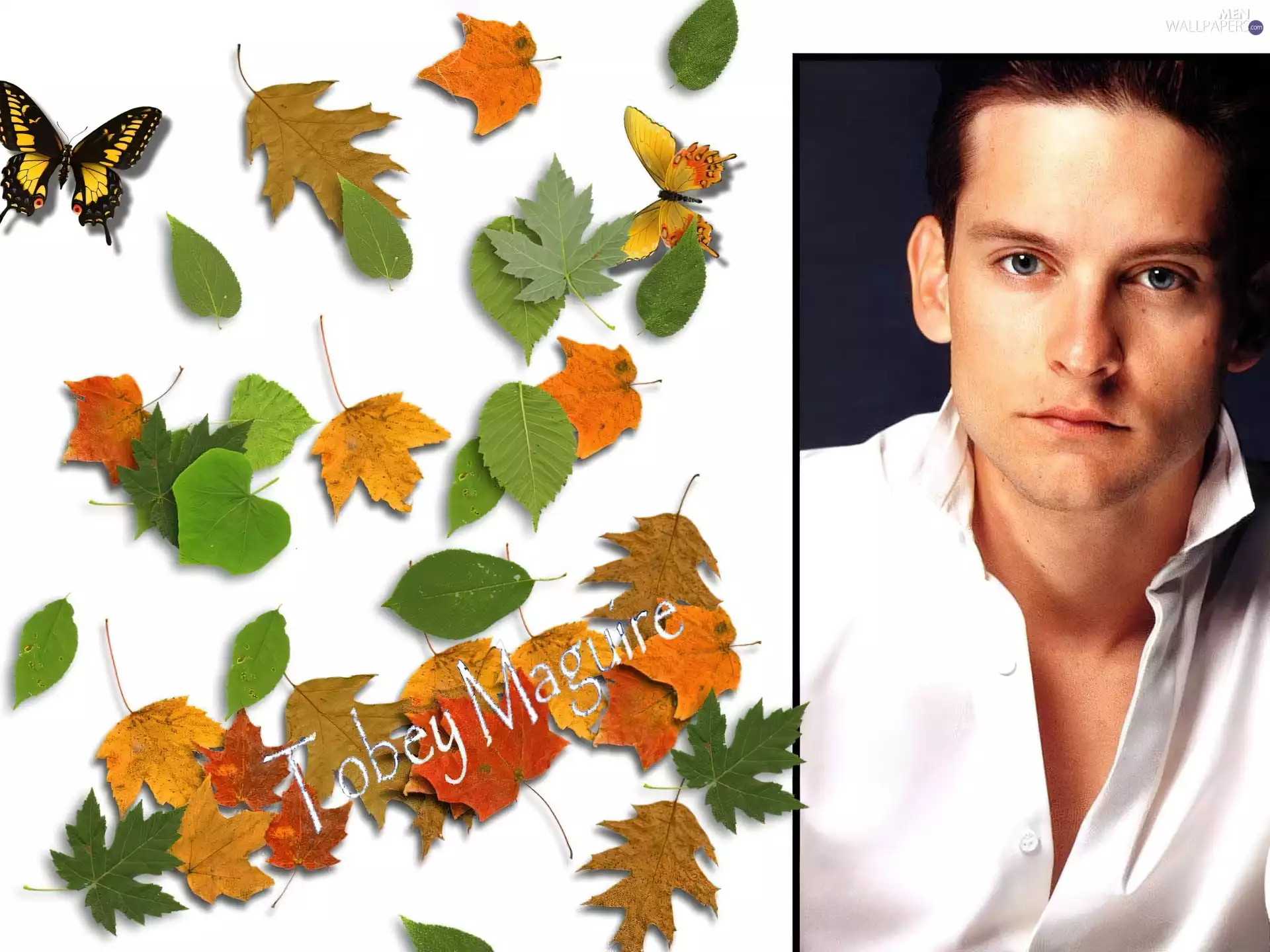 actor, Tobey Maguire, Leaf