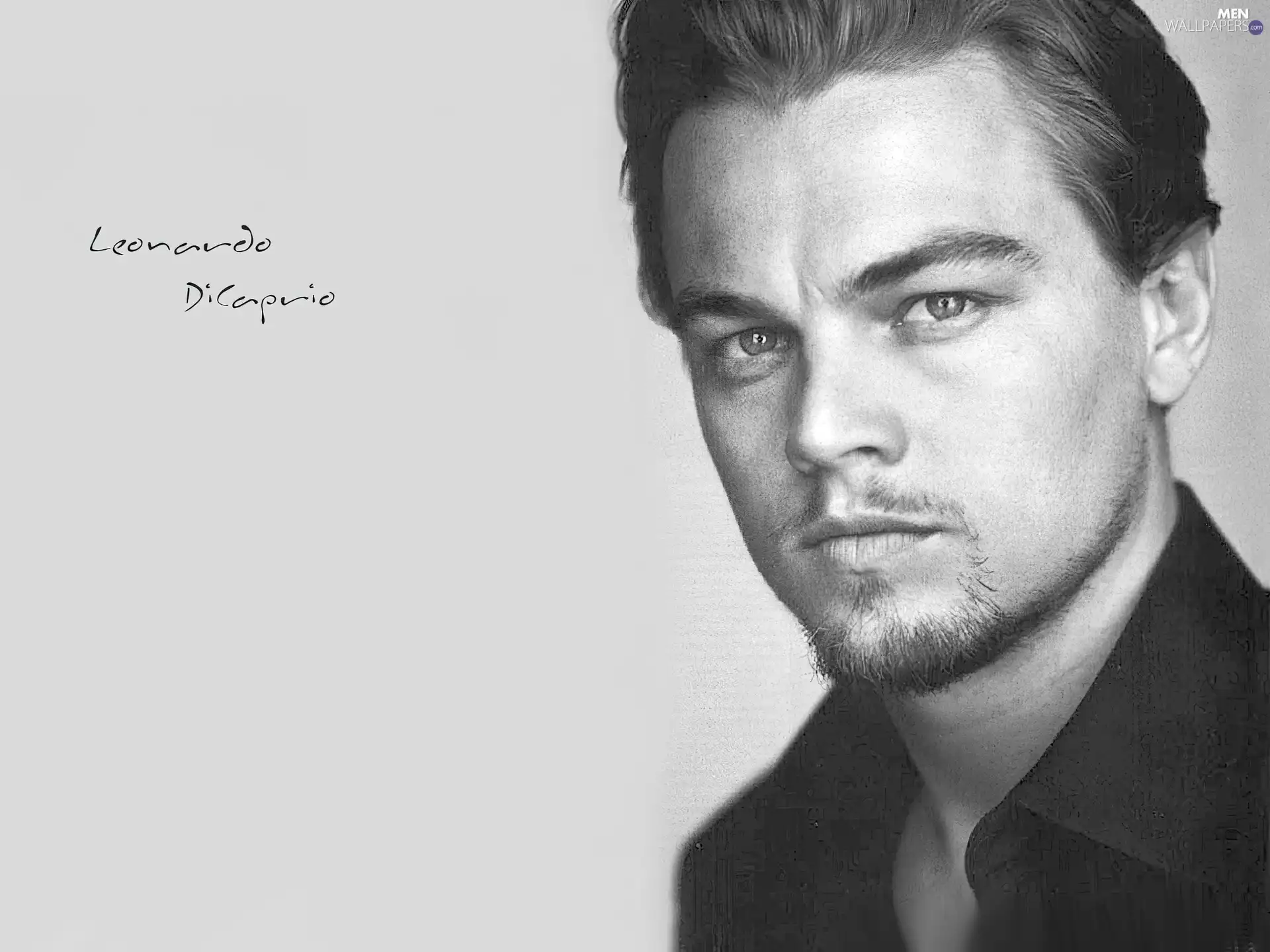 Leonardo DiCaprio, beard