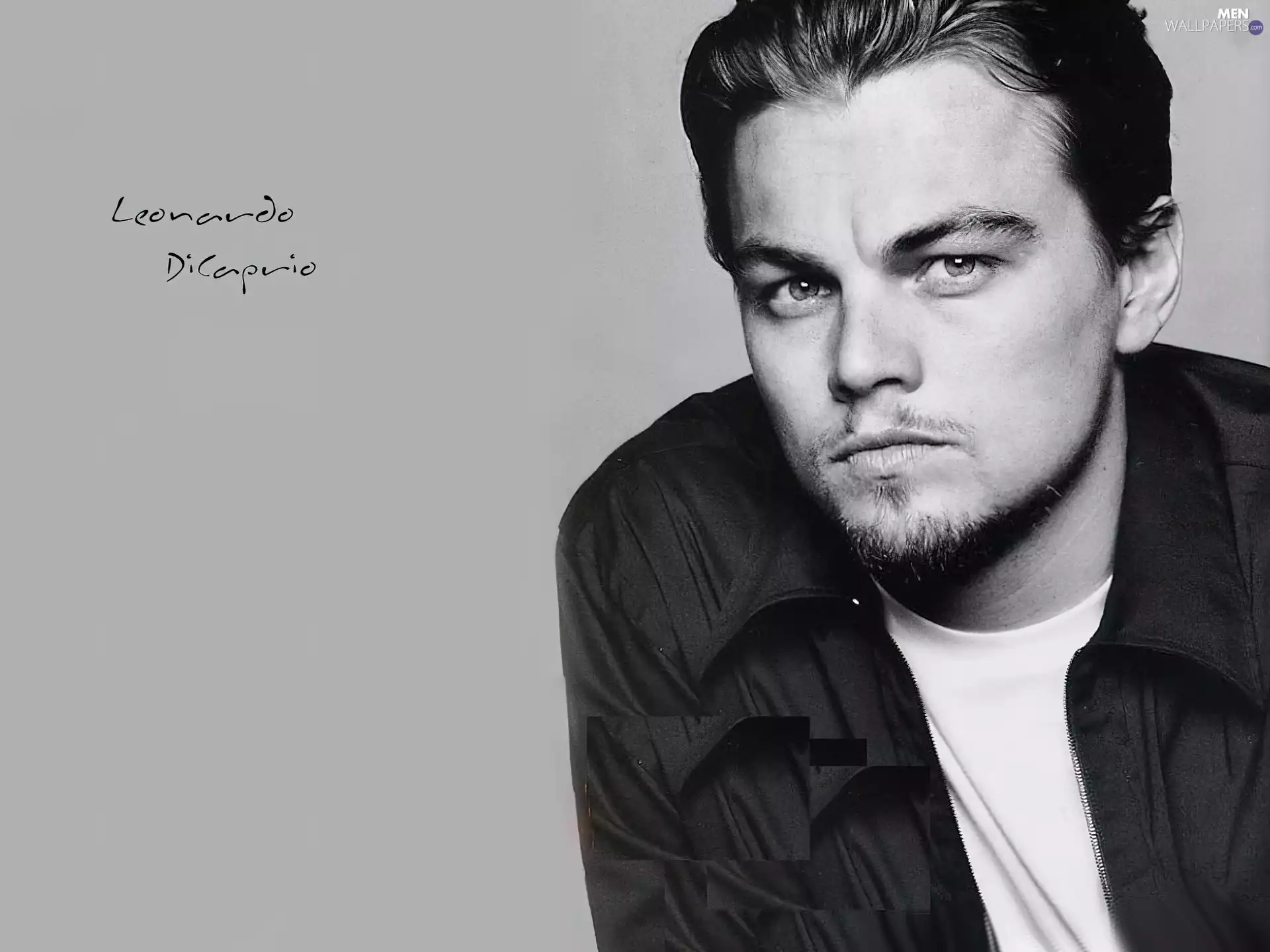 Leonardo DiCaprio, beard