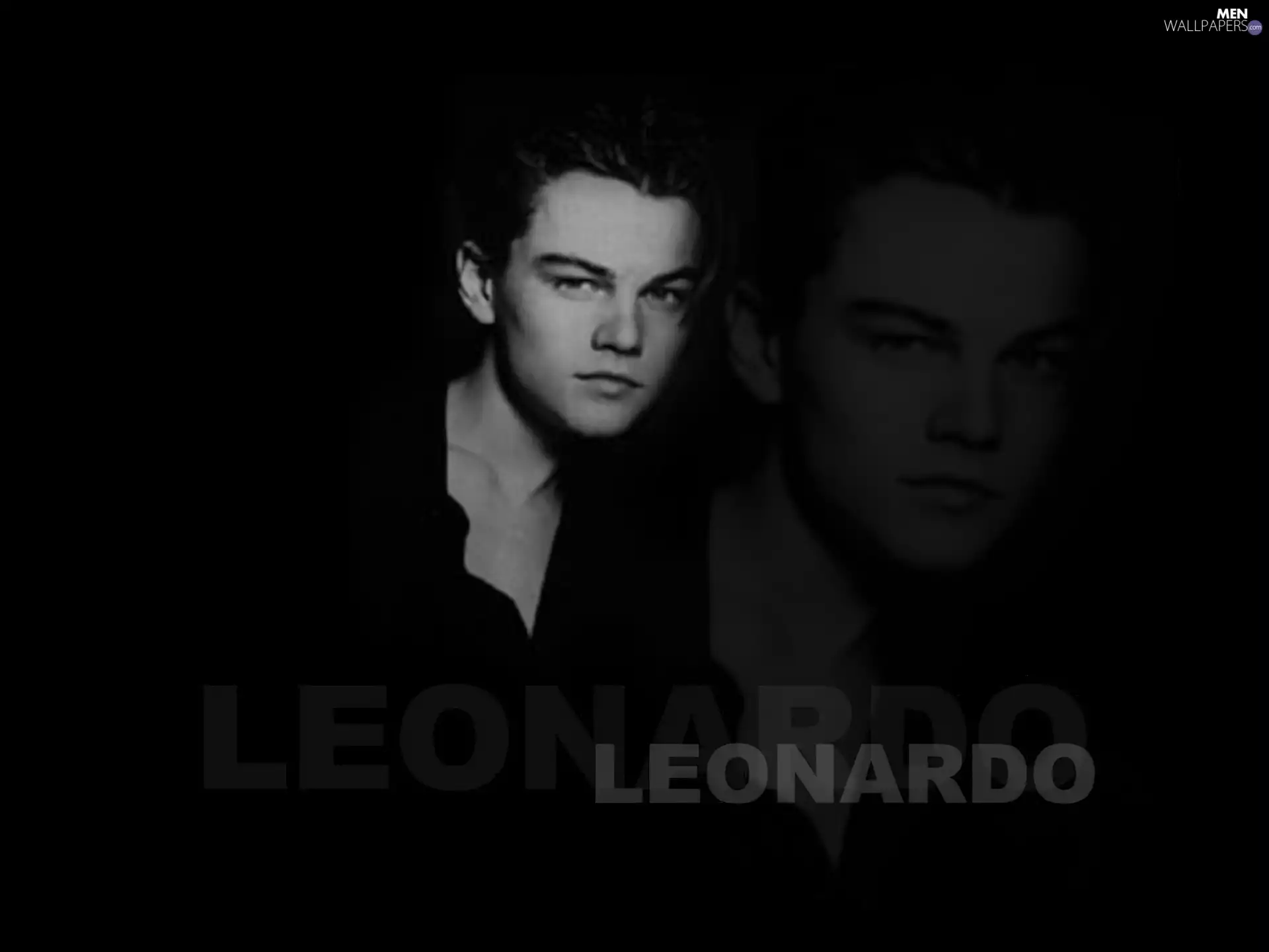 Leonardo DiCaprio, reflection