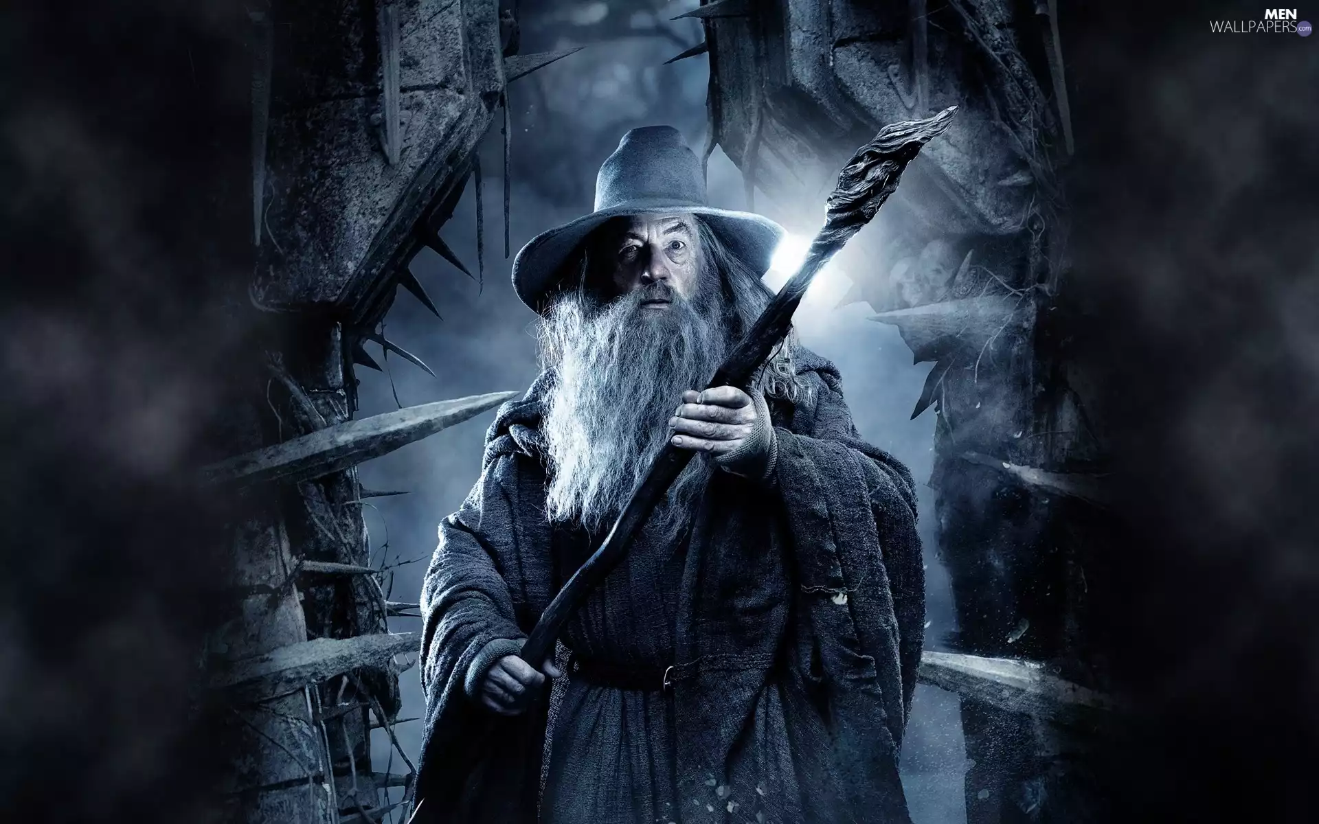 Hobbit, Gandalf, Ian McKellen, Smaug desolation