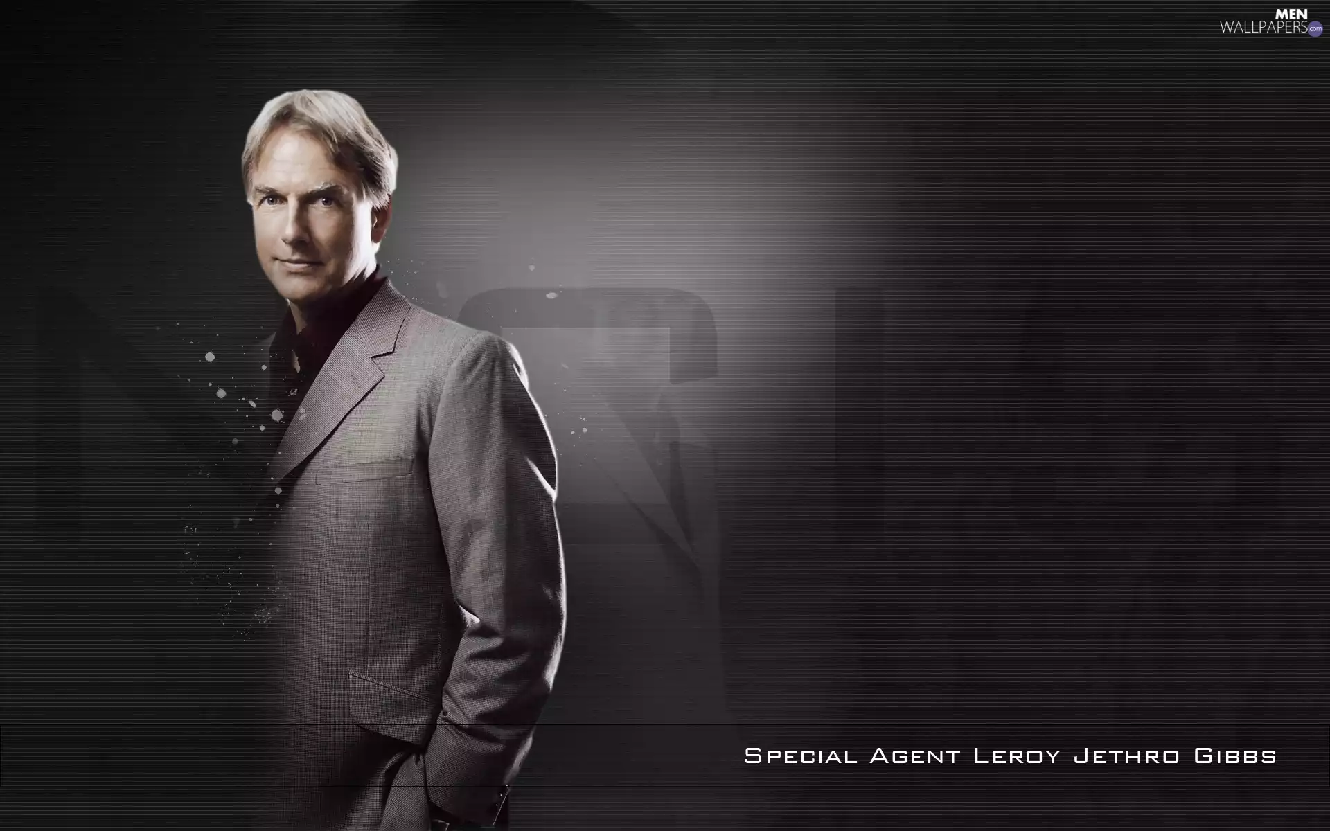 Mark Harmon, series, NCIS