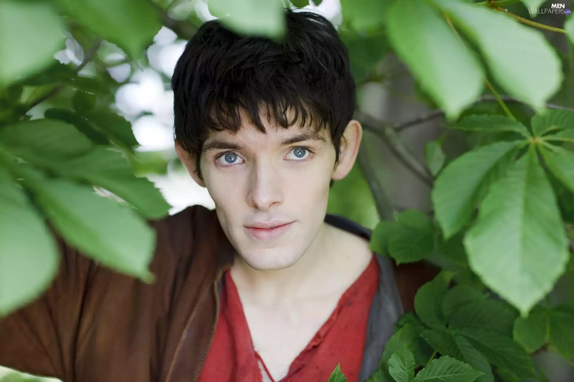 actor, Colin Morgan, The Adventures of Merlin, The Adventures of Merlin, series